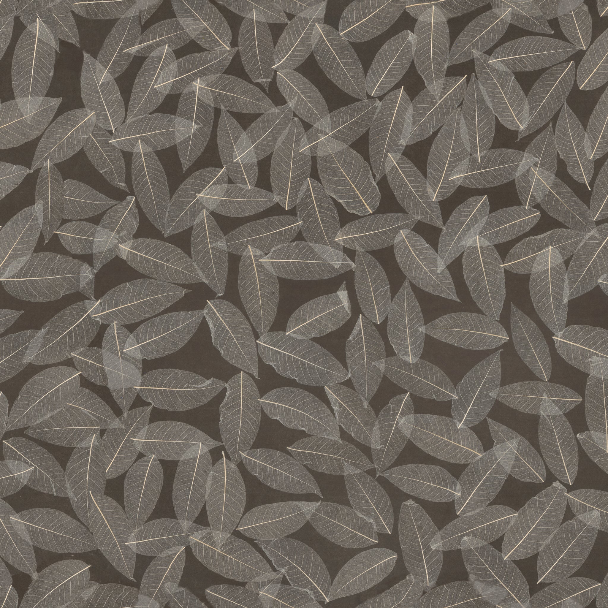 ORGANOID - SKELETON LEAVES MEDIUM