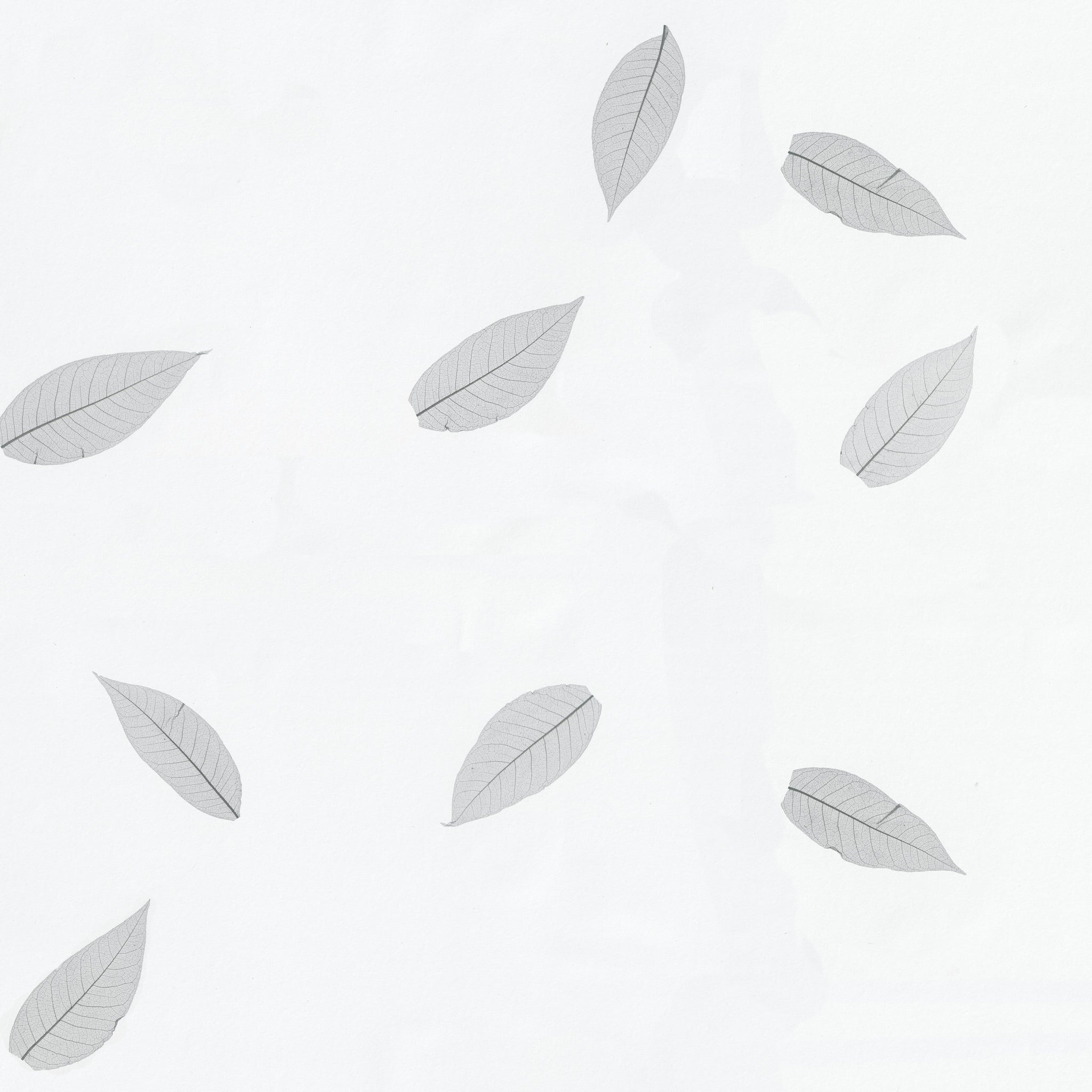 ORGANOID - SKELETON LEAVES ANTHRACITE LIGHT