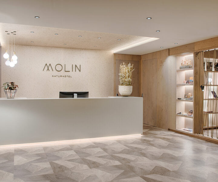 ORGANOID - WILDSPITZE LIGHT