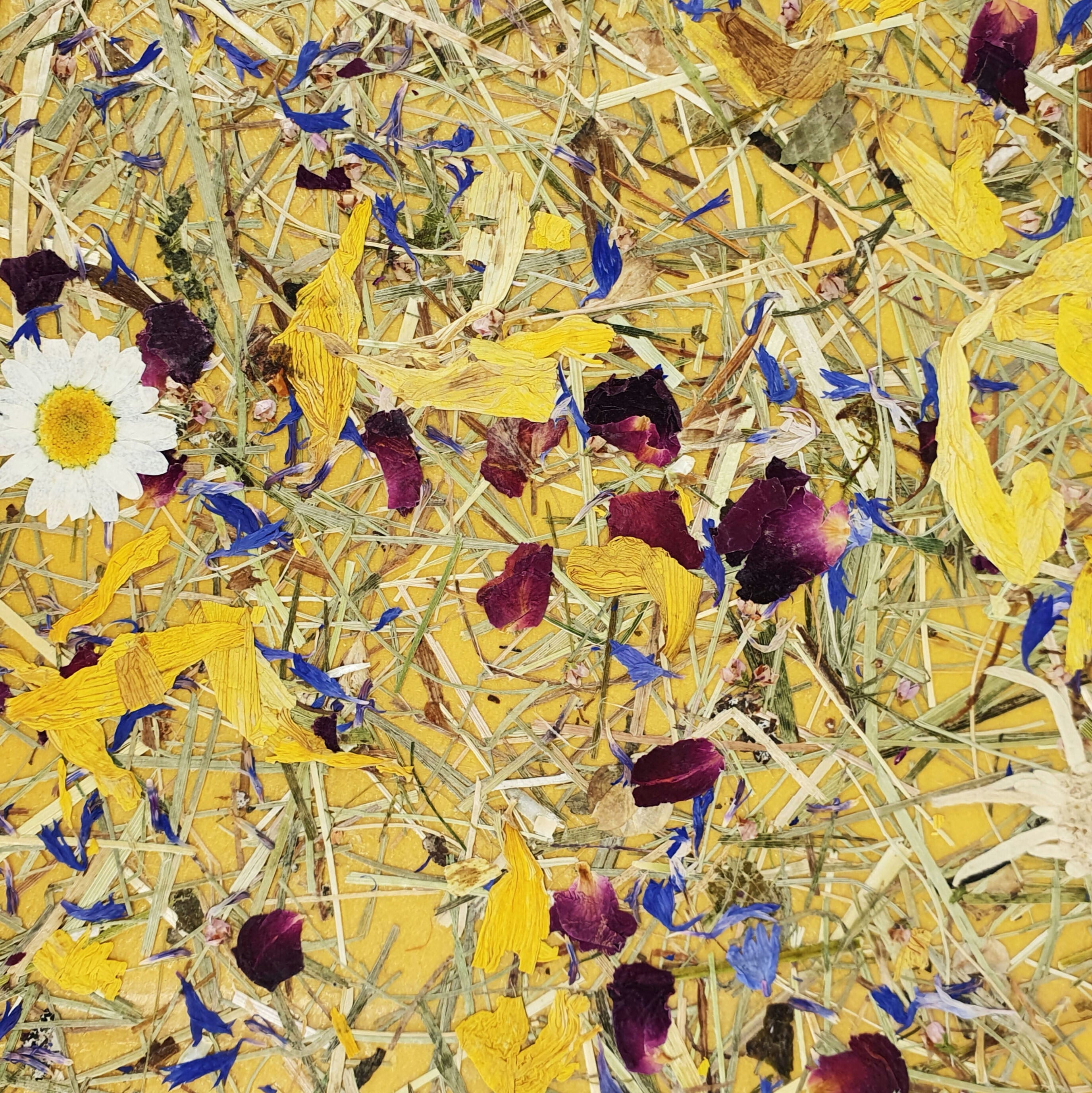 ORGANOID - MOUNTAIN MEADOW