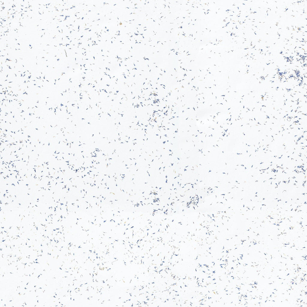 ORGANOID - CORNFLOWER LIGHT