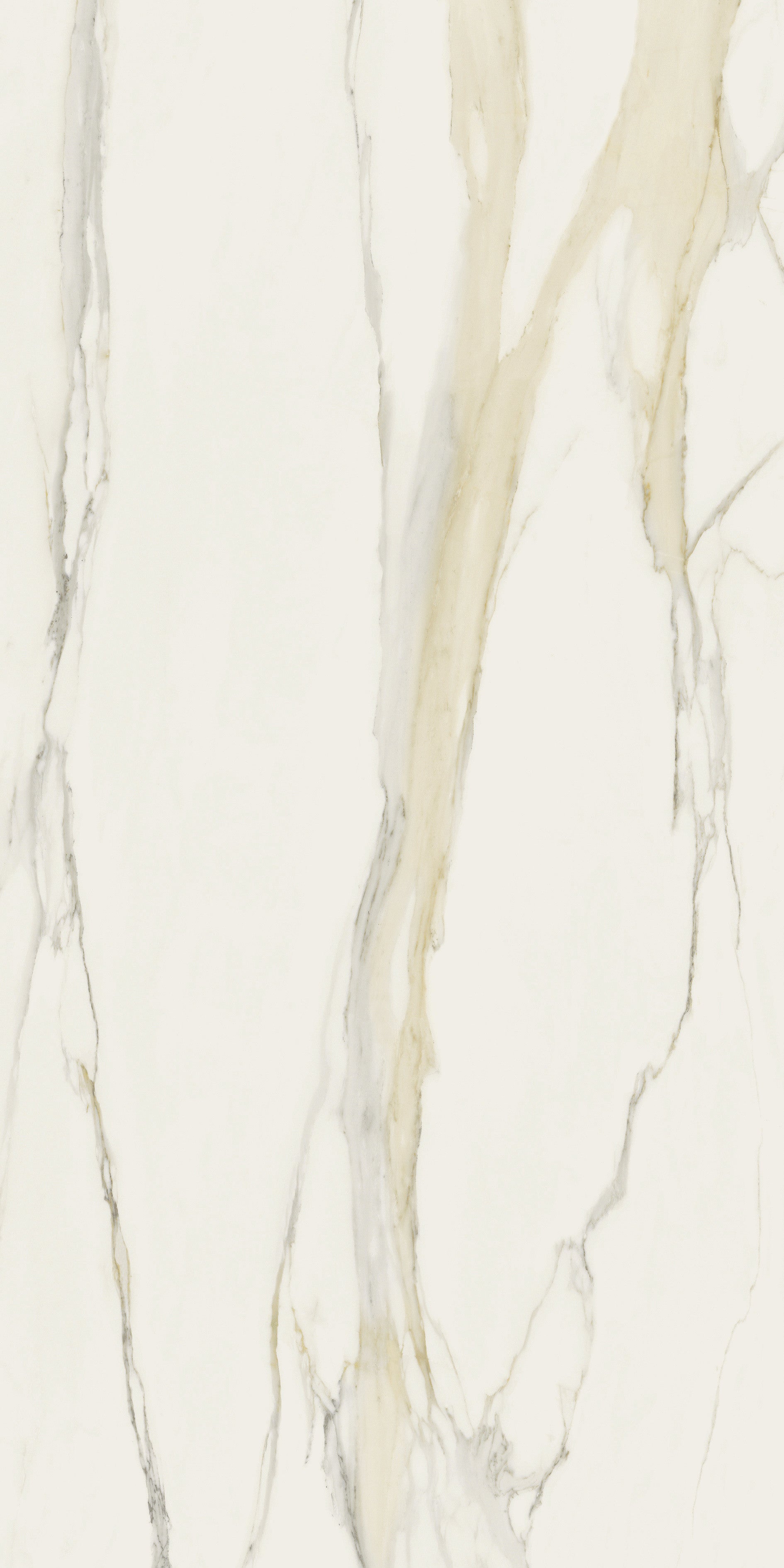 The Classics - Calacatta gold
