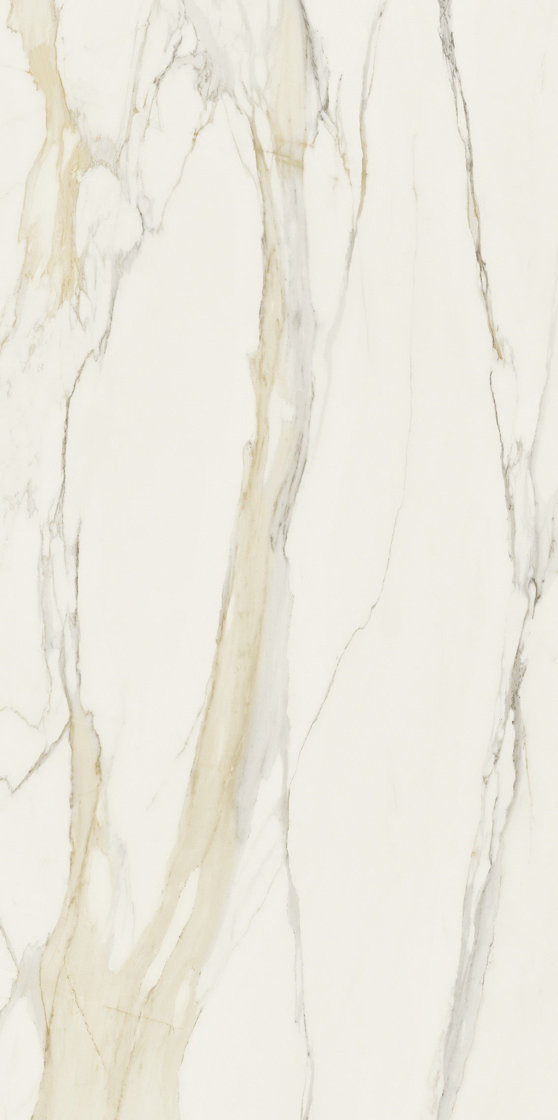 The Classics - Calacatta gold