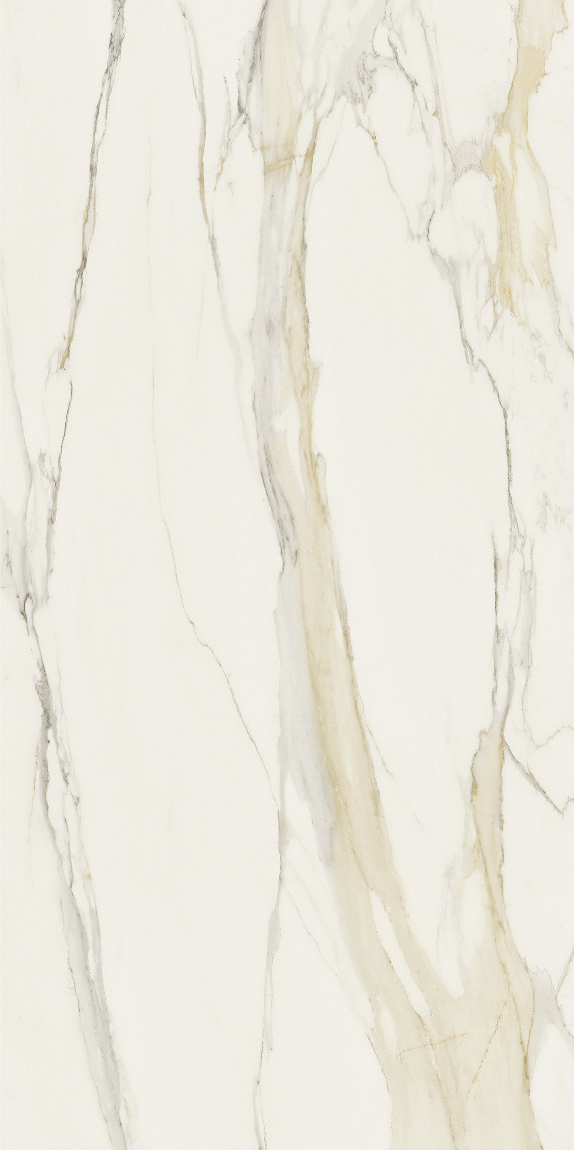 The Classics - Calacatta gold
