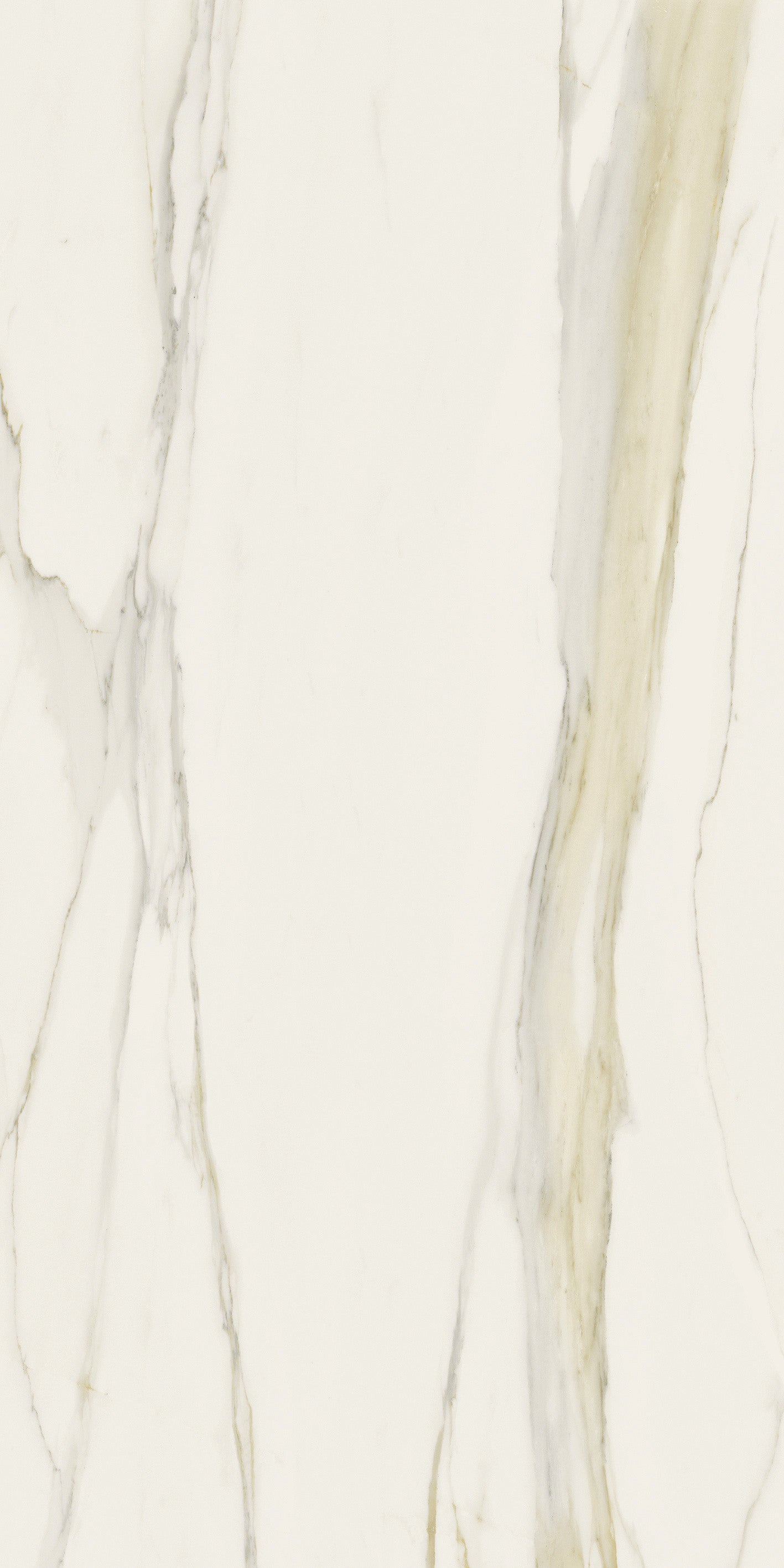 The Classics - Calacatta gold