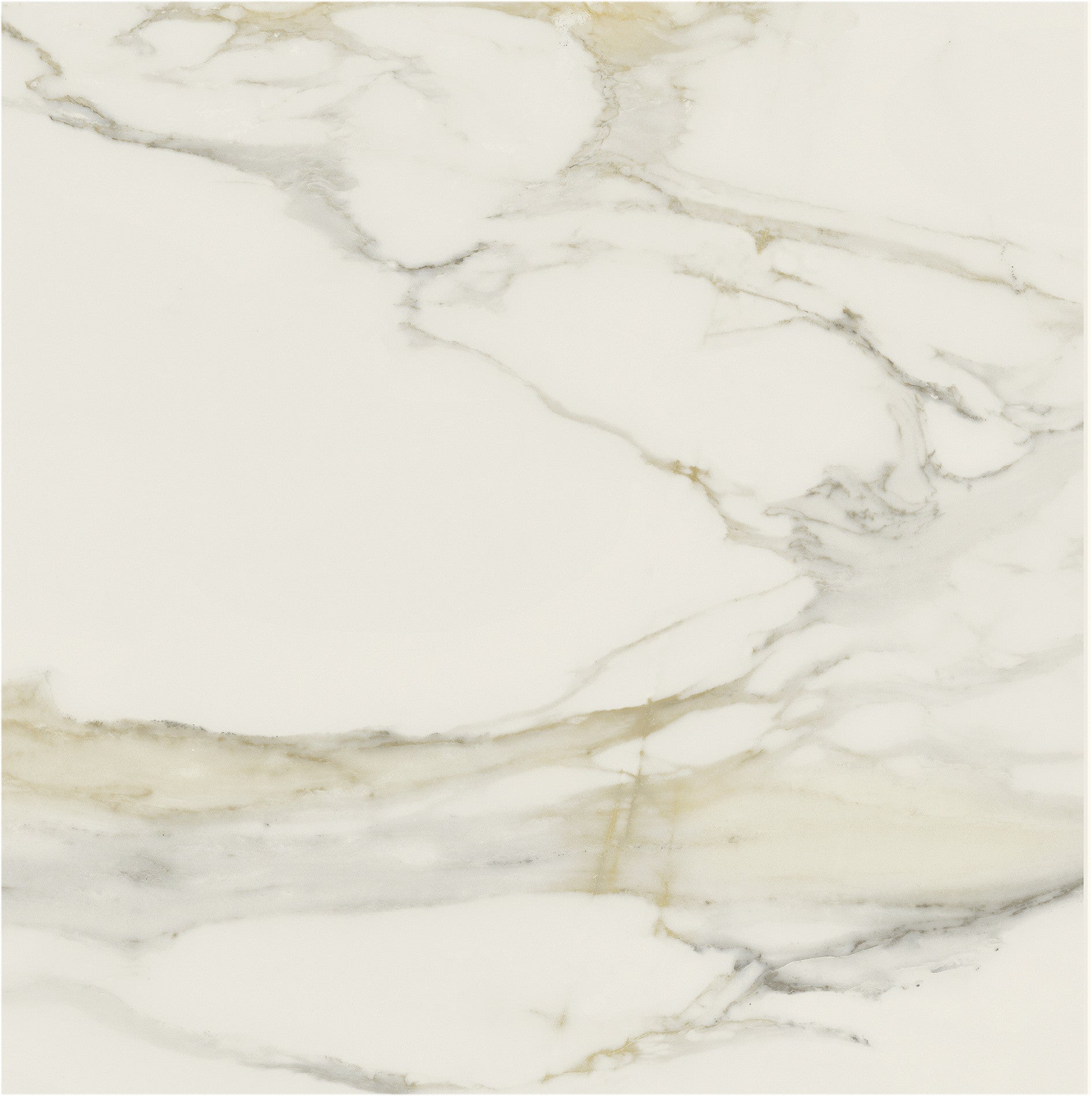 The Classics - Calacatta gold