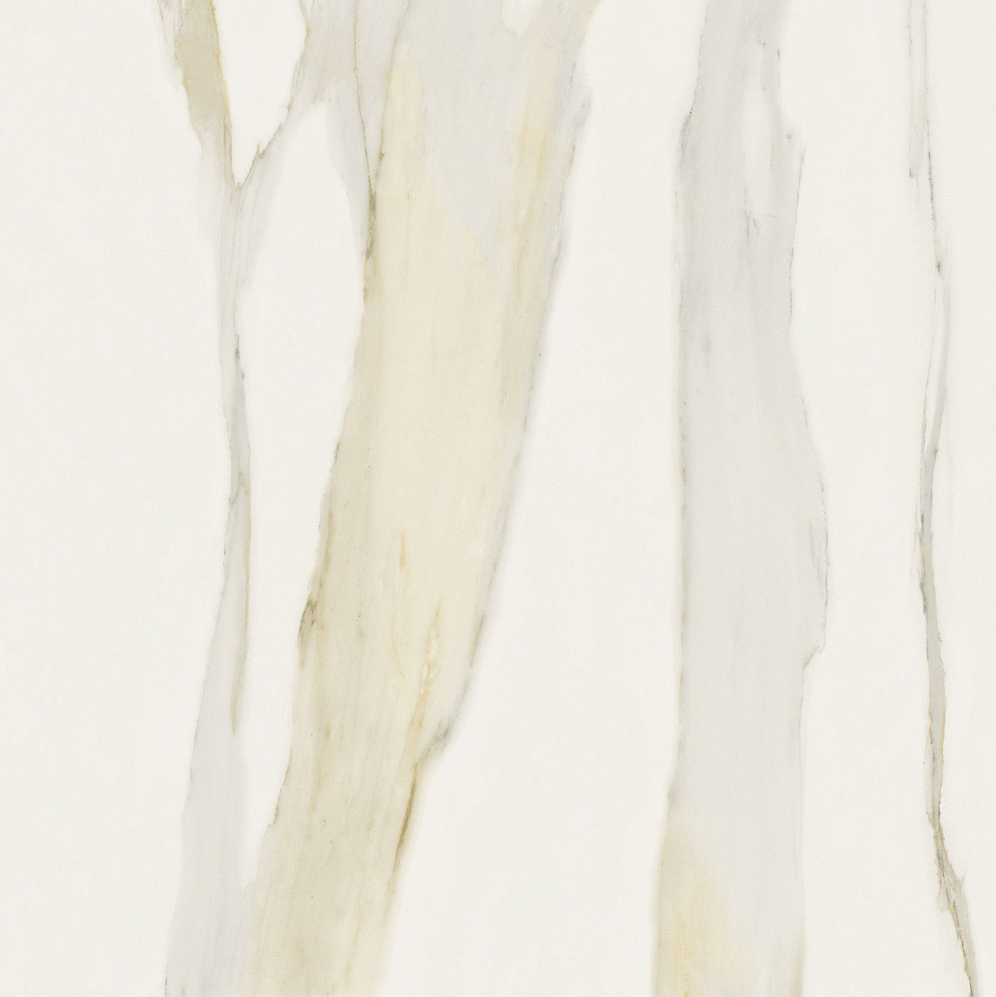 The Classics - Calacatta gold