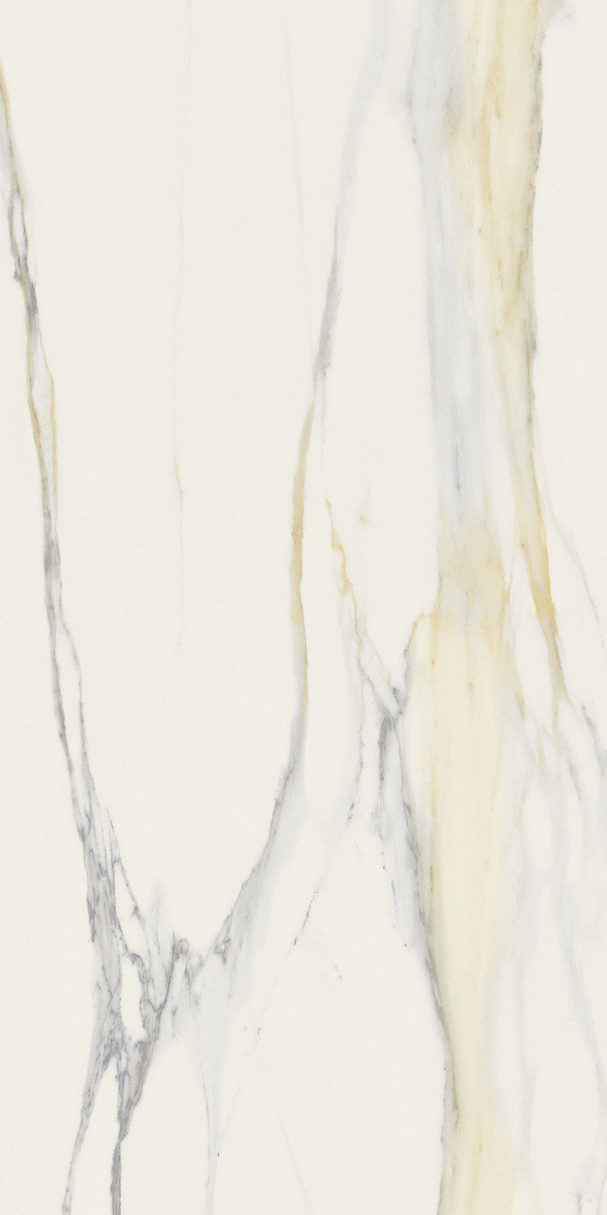 The Classics - Calacatta gold