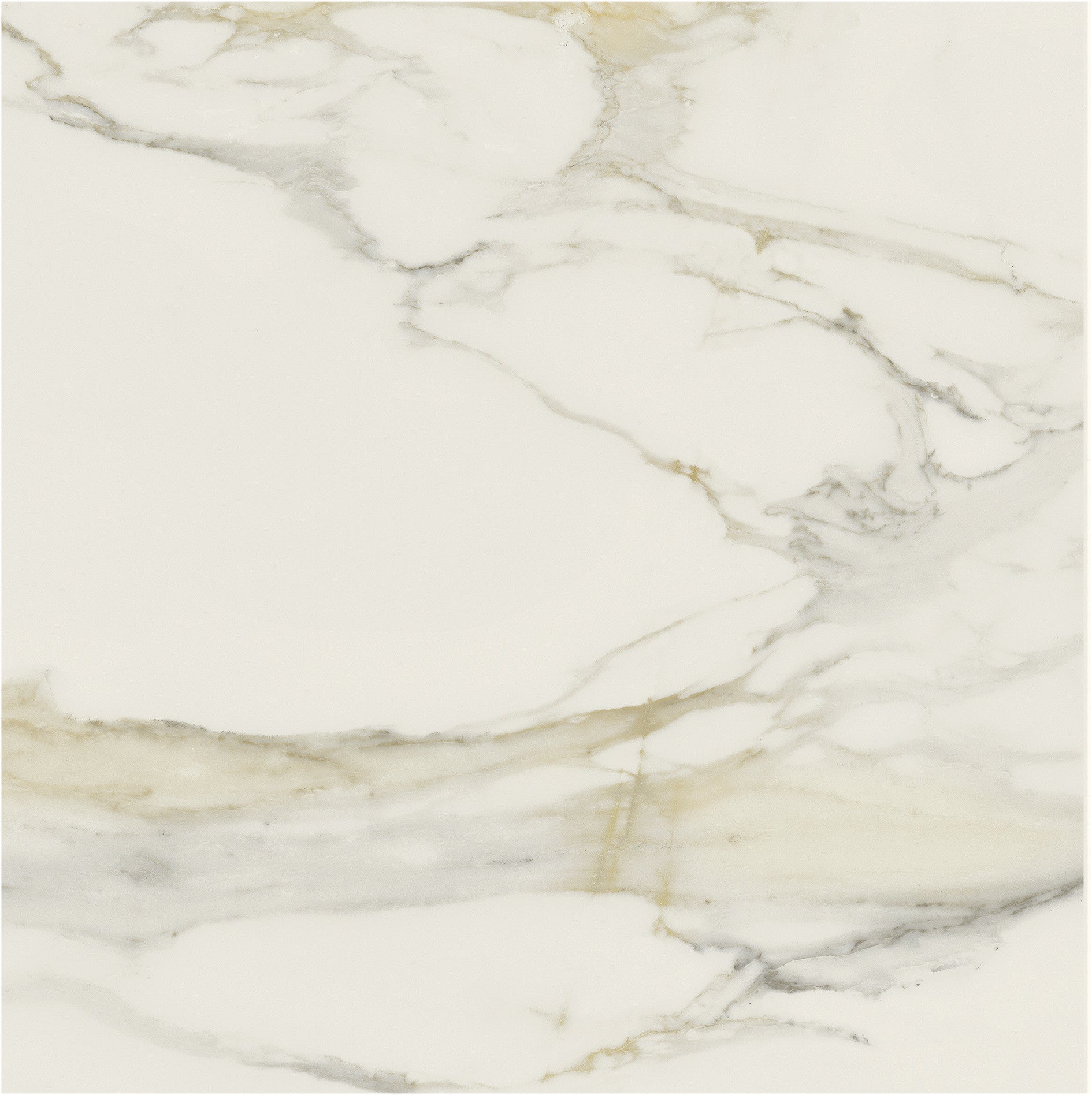 The Classics - Calacatta gold