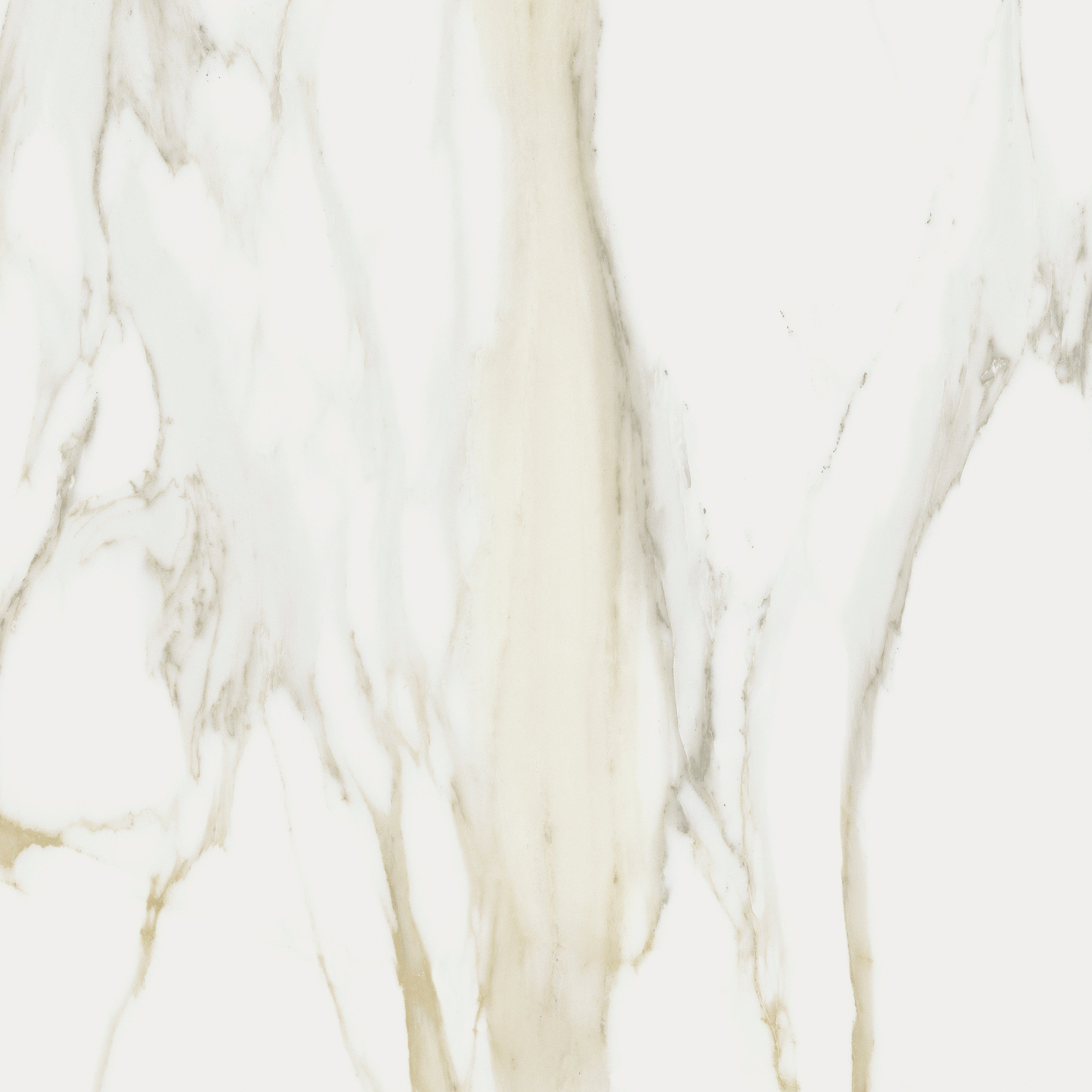 The Classics - Calacatta gold