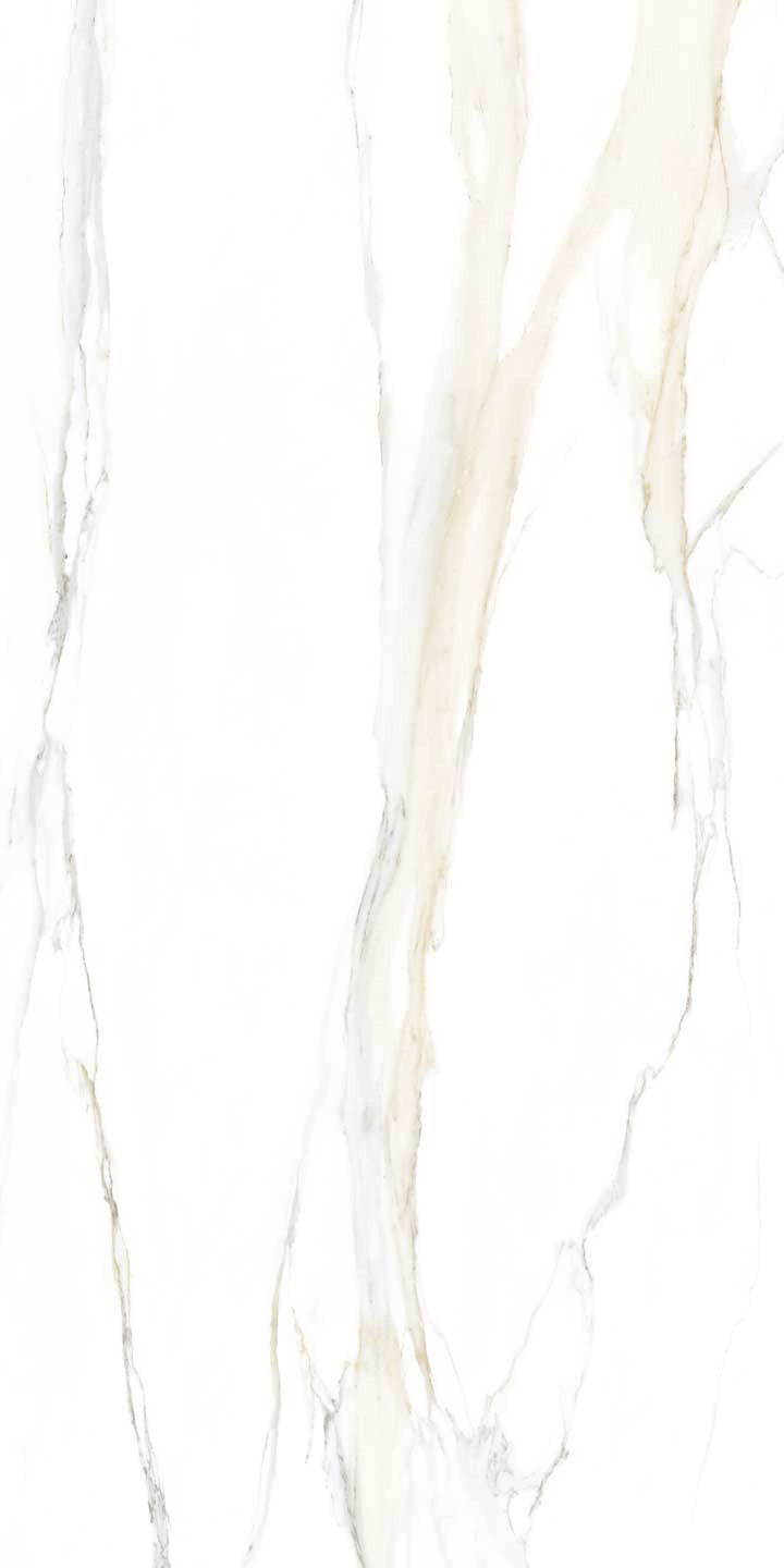 The Classics - Calacatta gold