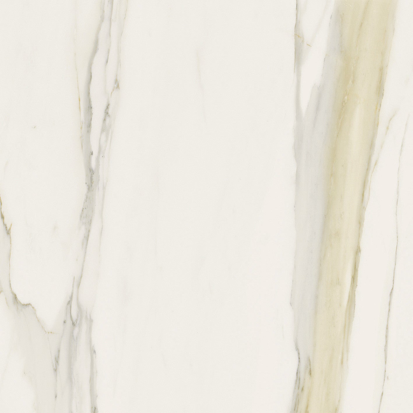 The Classics - Calacatta gold