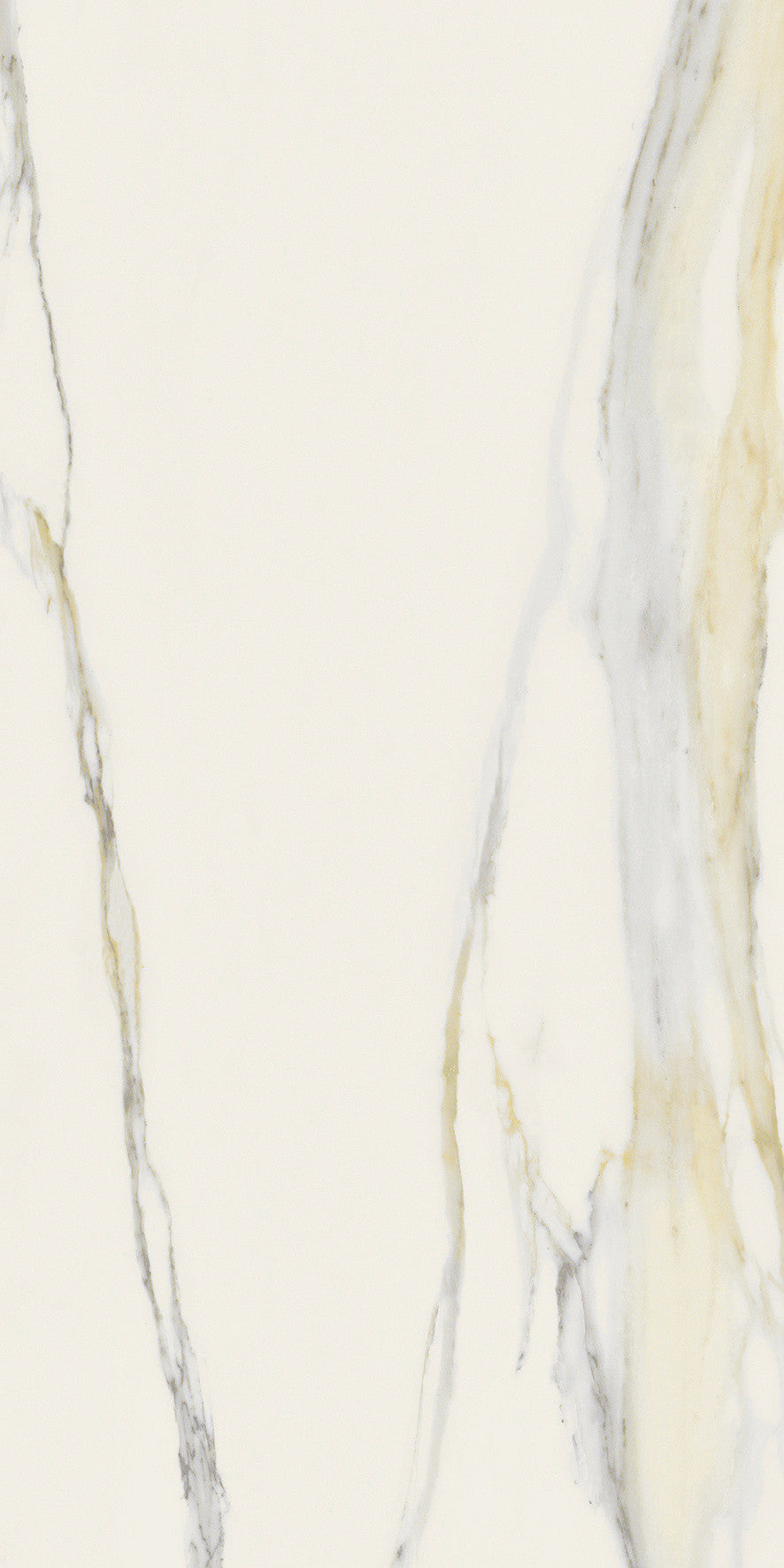 The Classics - Calacatta gold