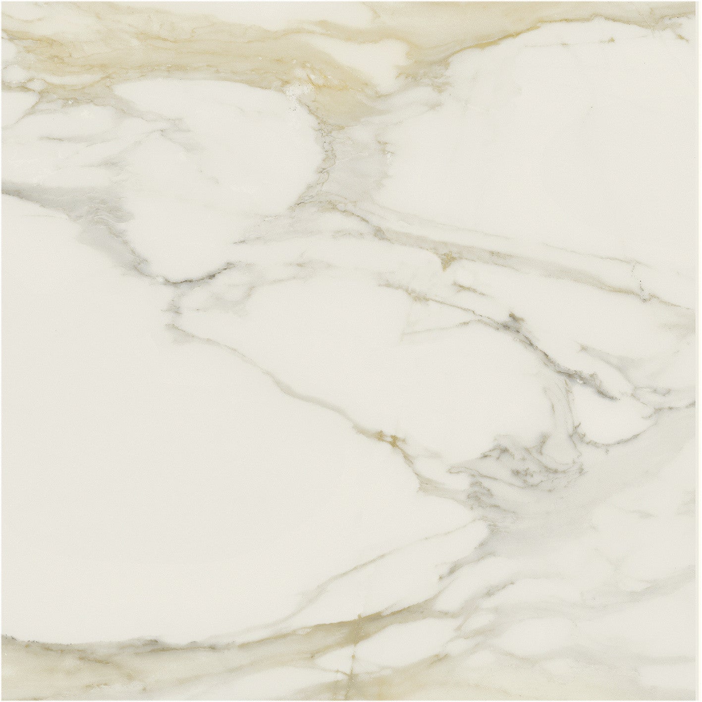 The Classics - Calacatta gold