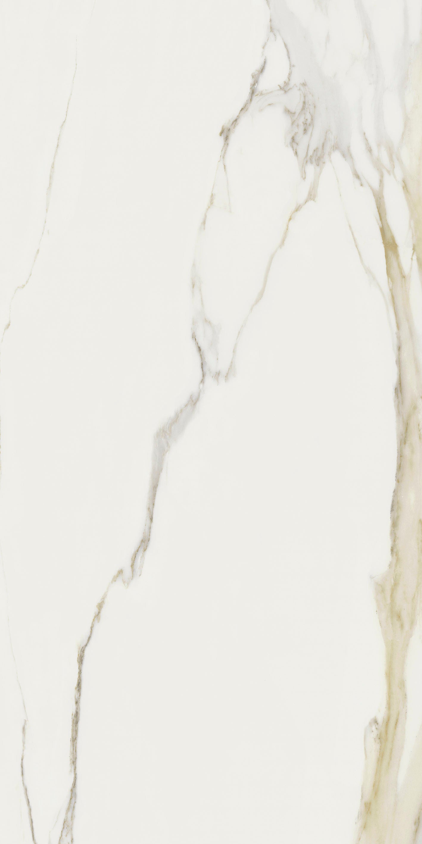 The Classics - Calacatta gold