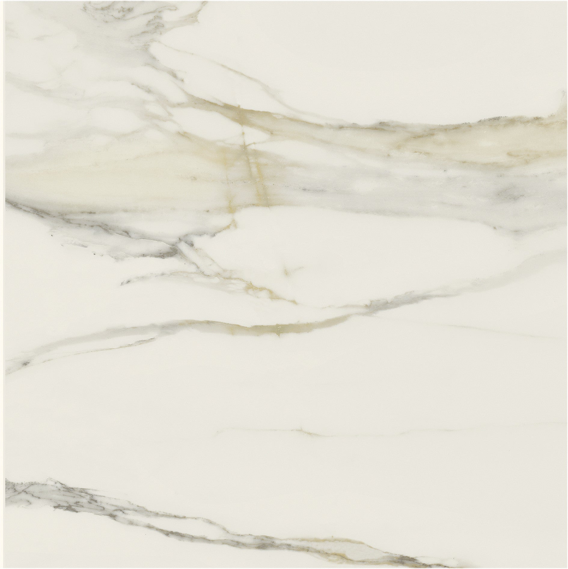 The Classics - Calacatta gold