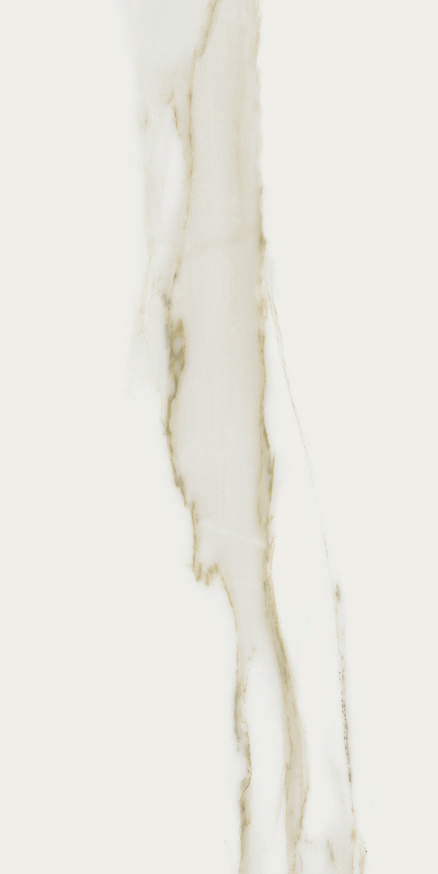 The Classics - Calacatta gold