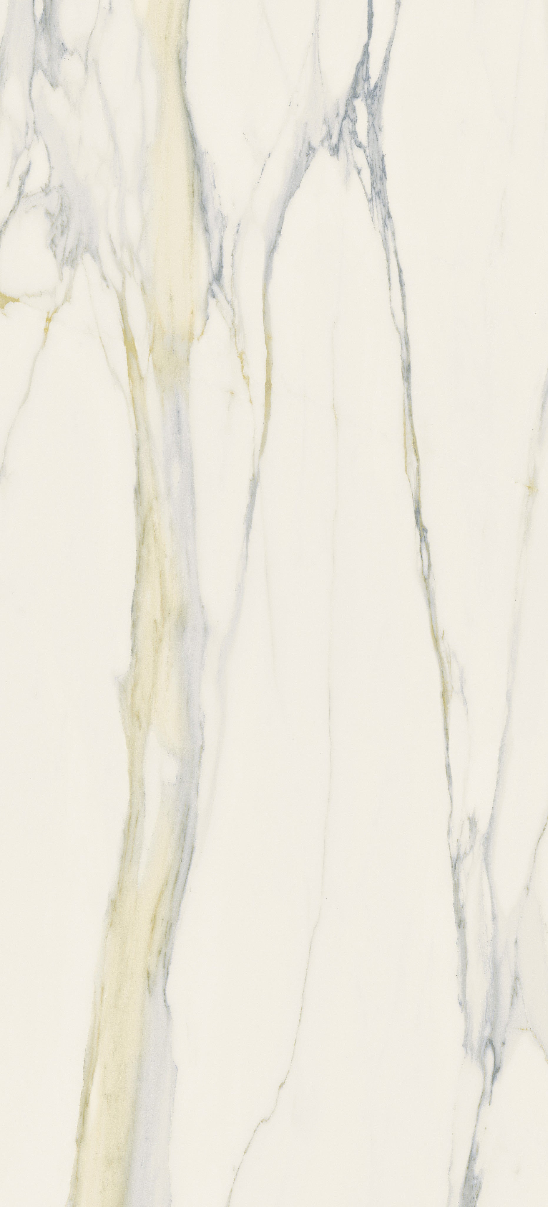 The Classics - Calacatta gold