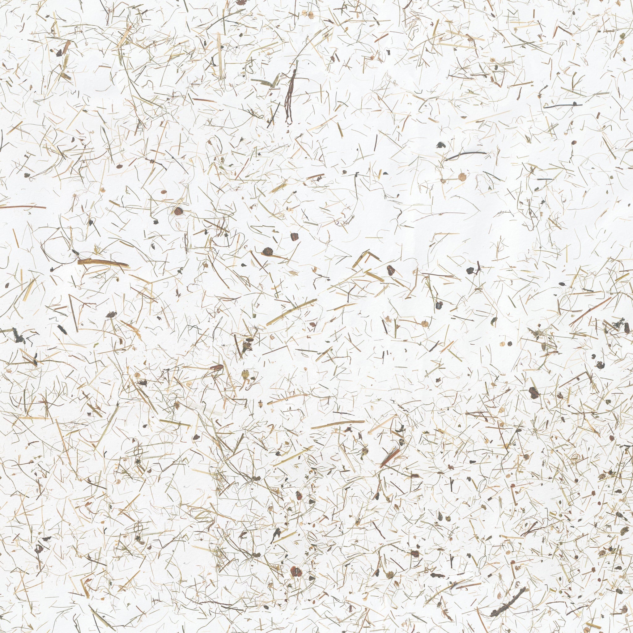 ORGANOID - WILDSPITZE LIGHT