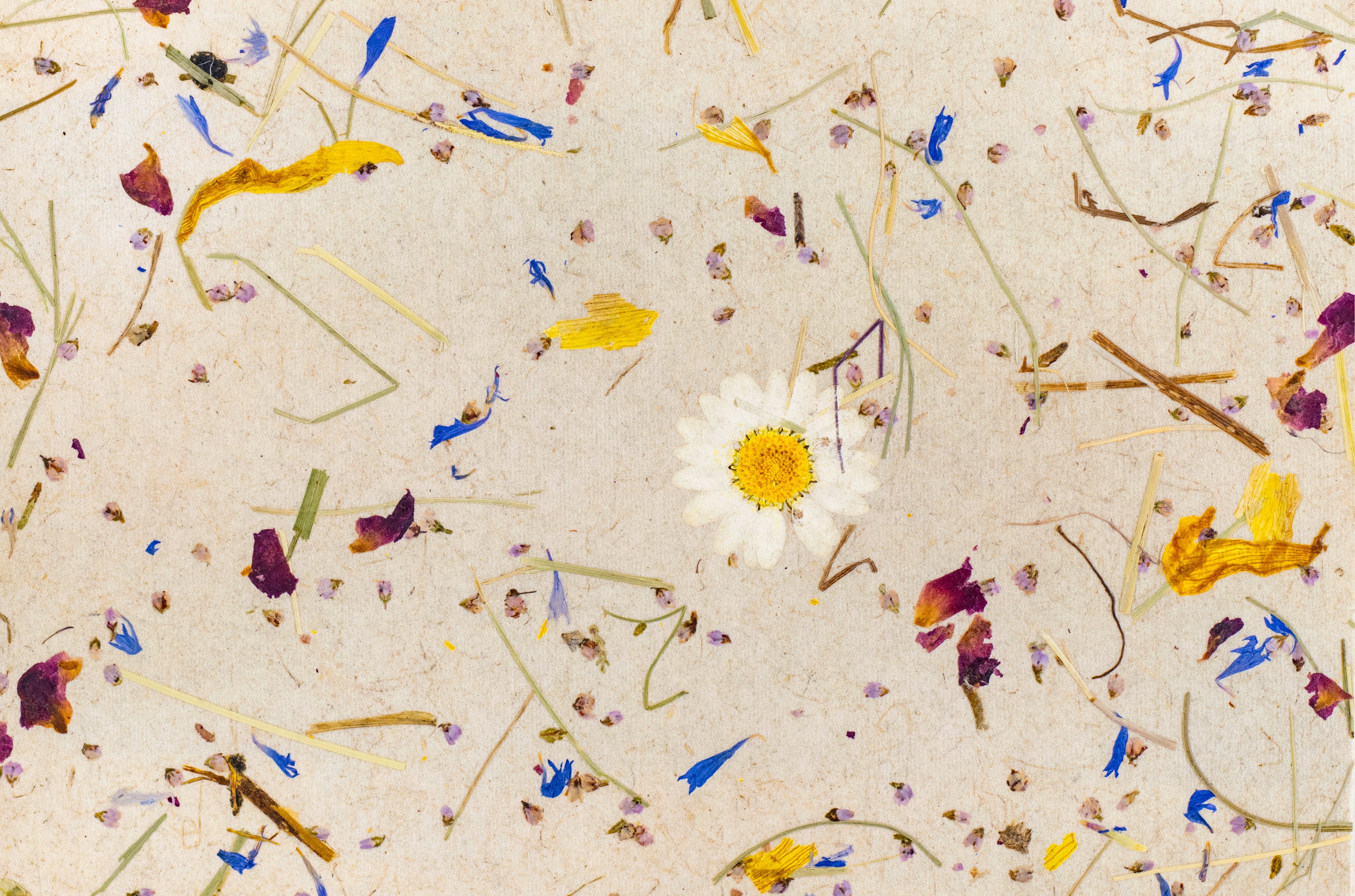 ORGANOID - ALMWIESE LIGHT