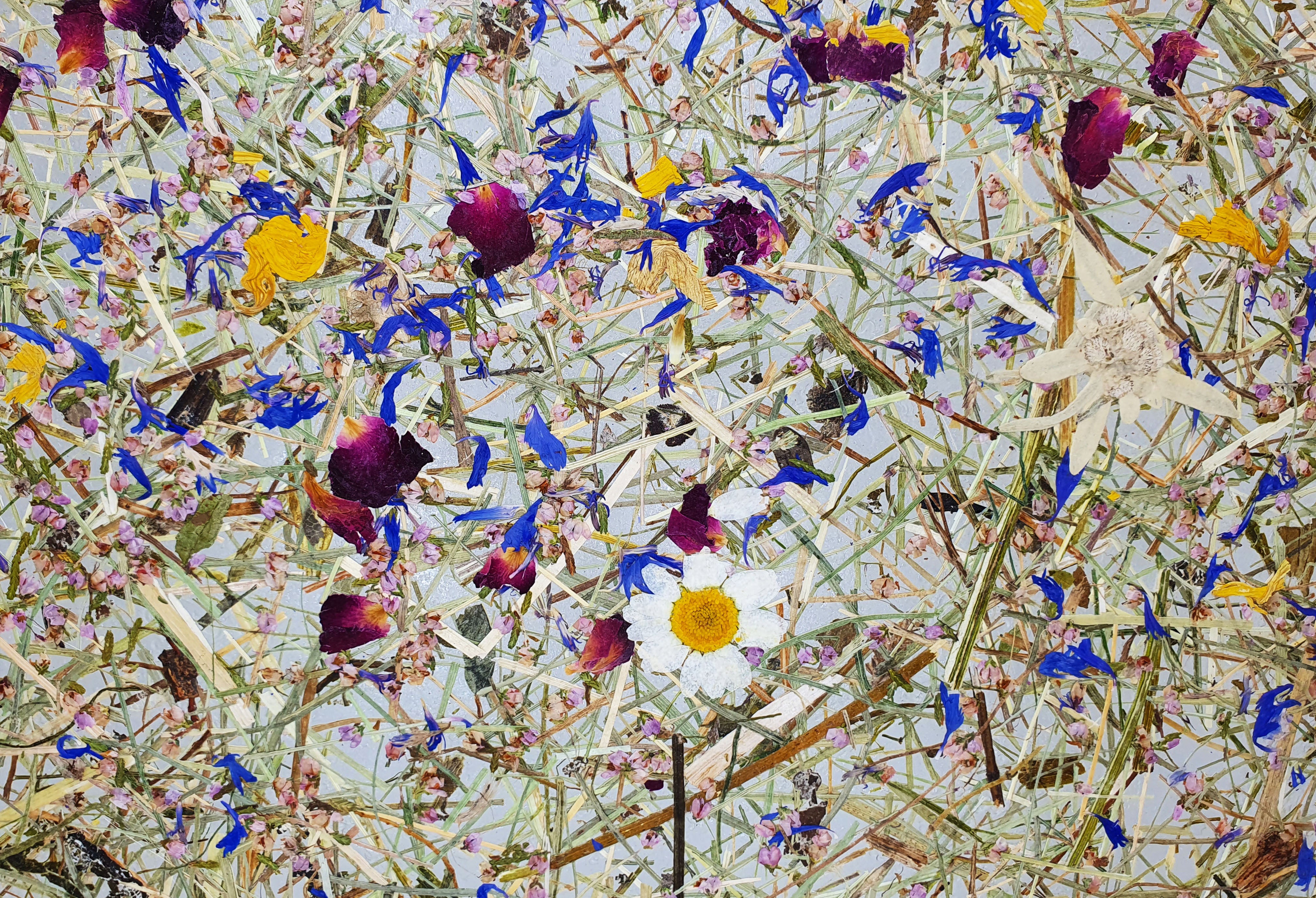 ORGANOID - BERGWIESE MEDIUM