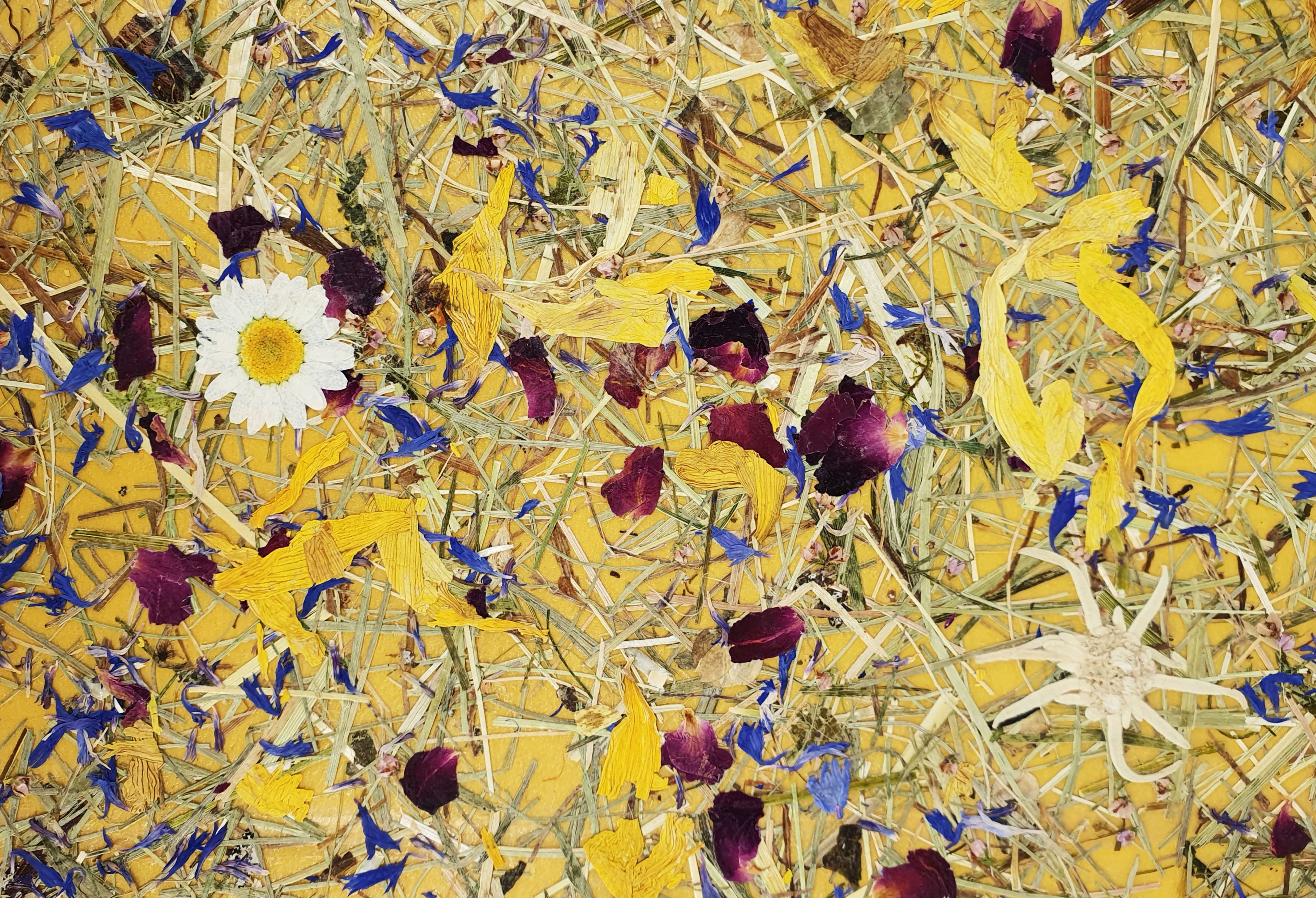 ORGANOID - MOUNTAIN MEADOW