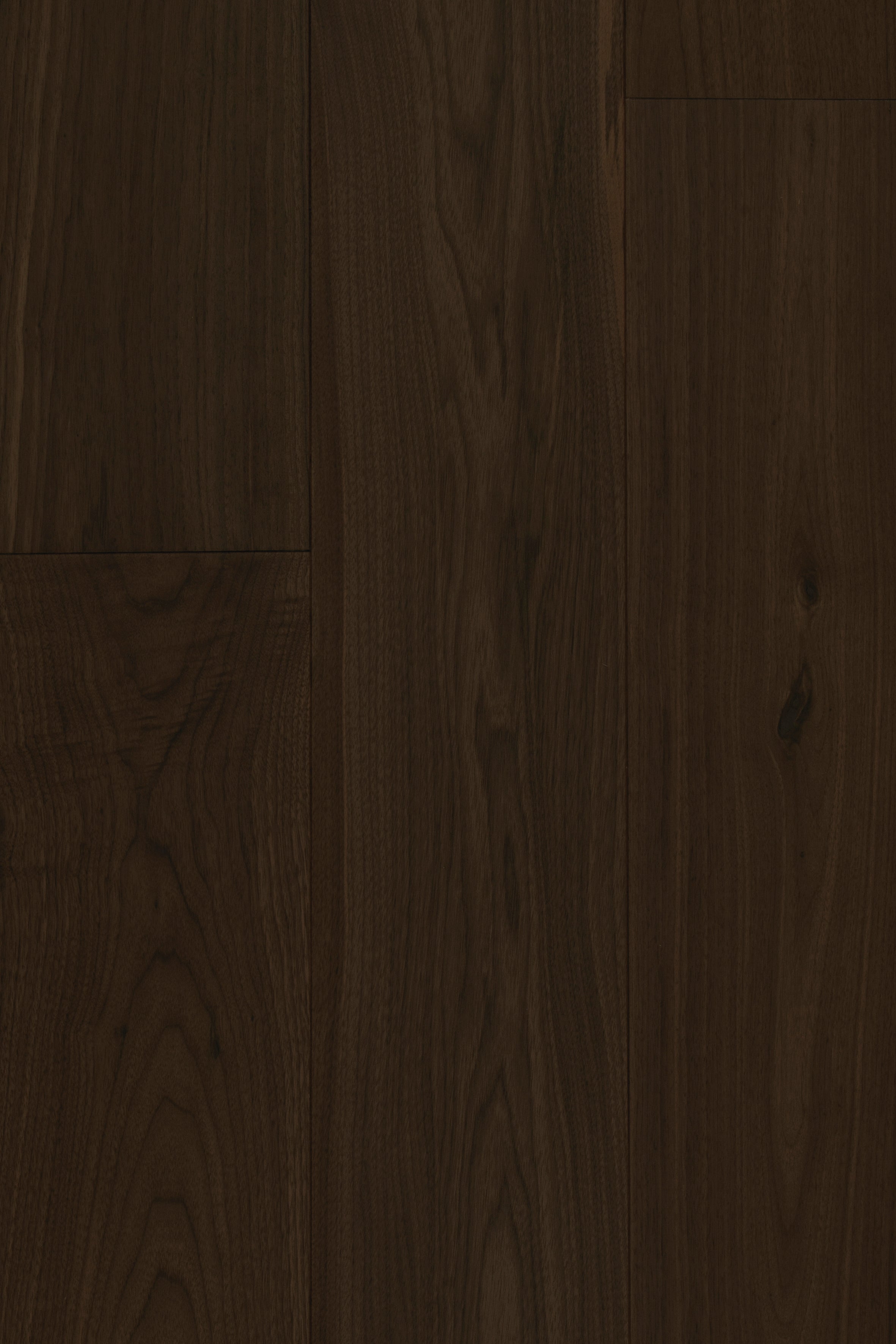 Exotic Walnut