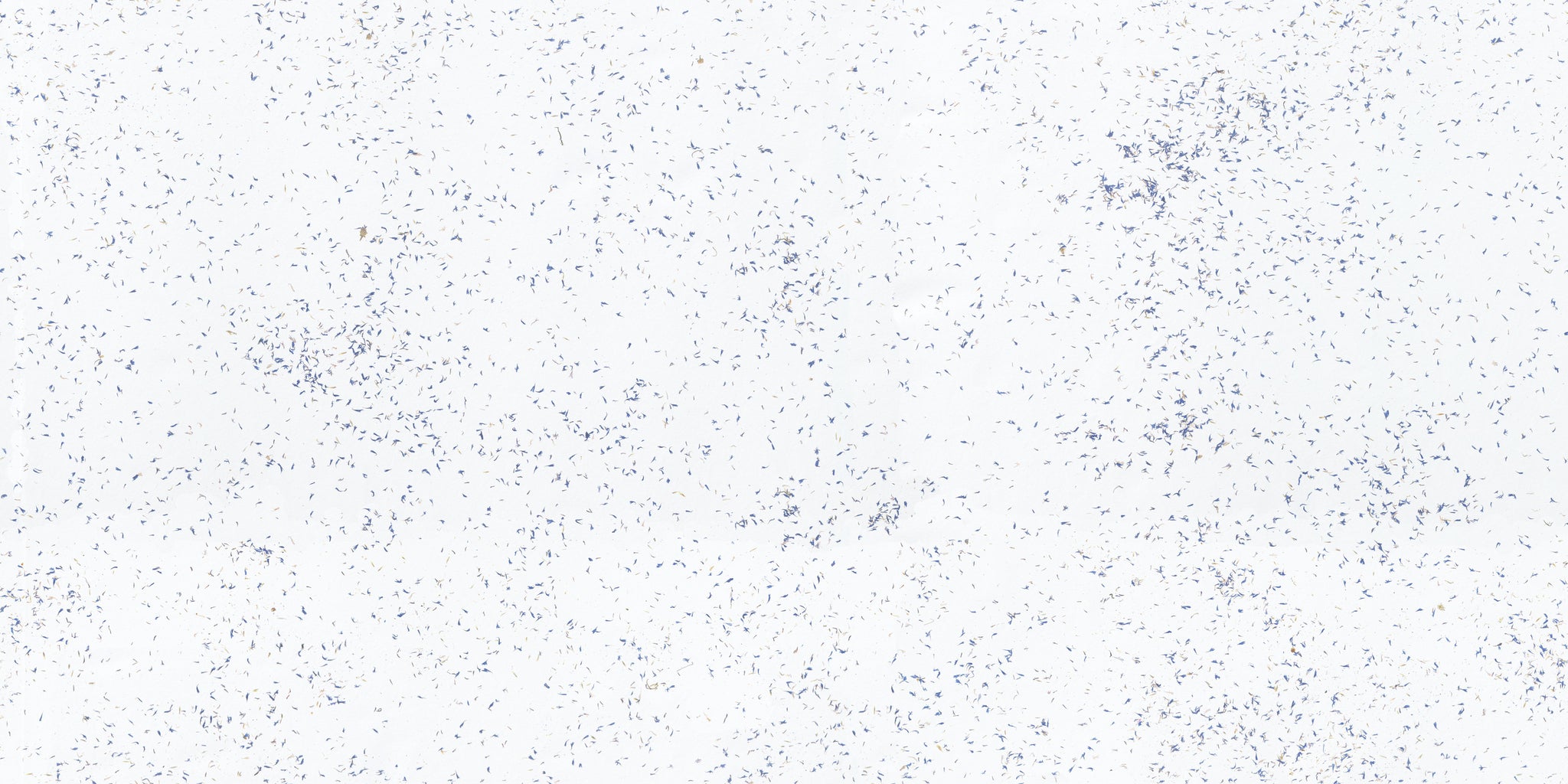 ORGANOID - CORNFLOWER LIGHT