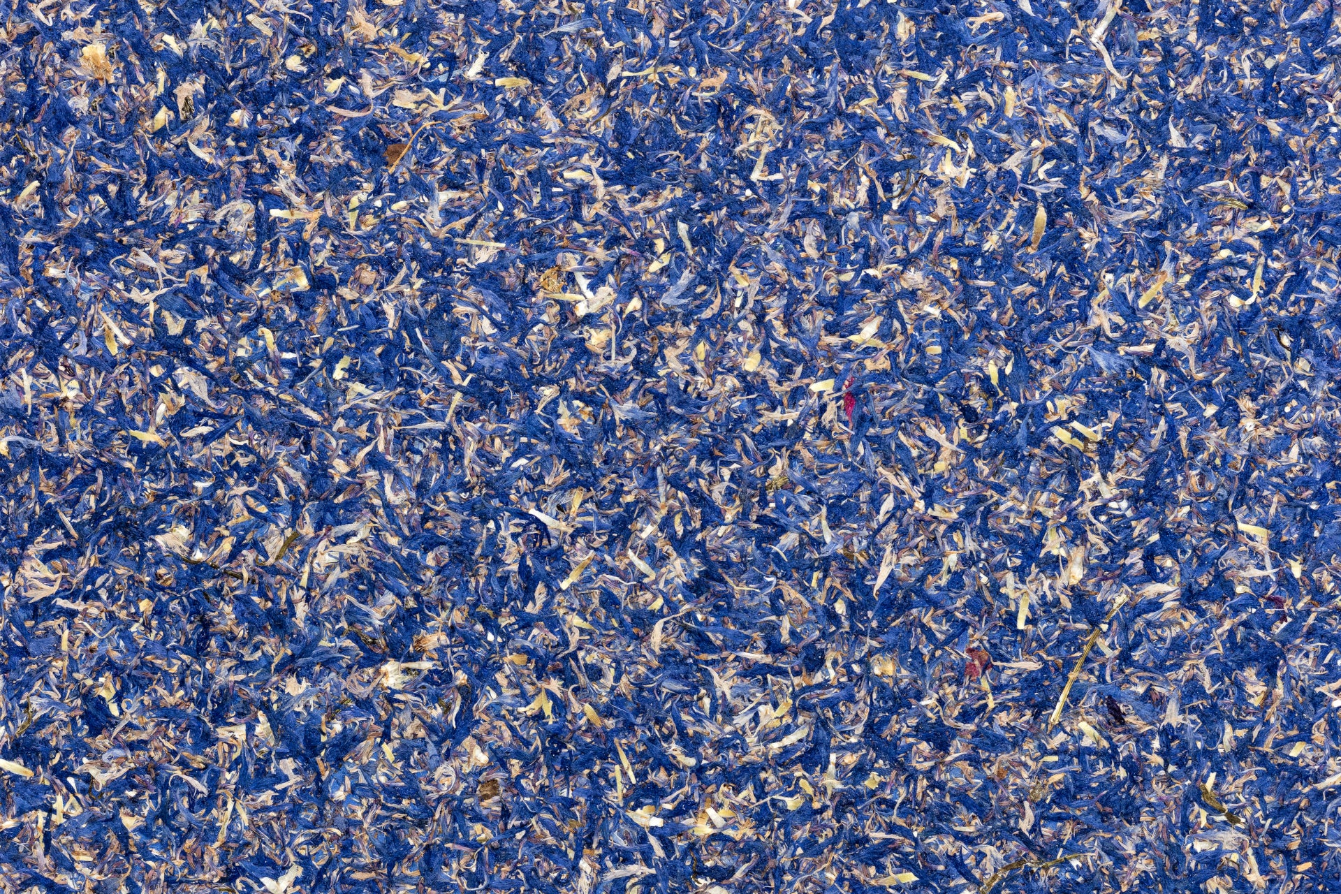 ORGANOID - CORNFLOWER BLUE