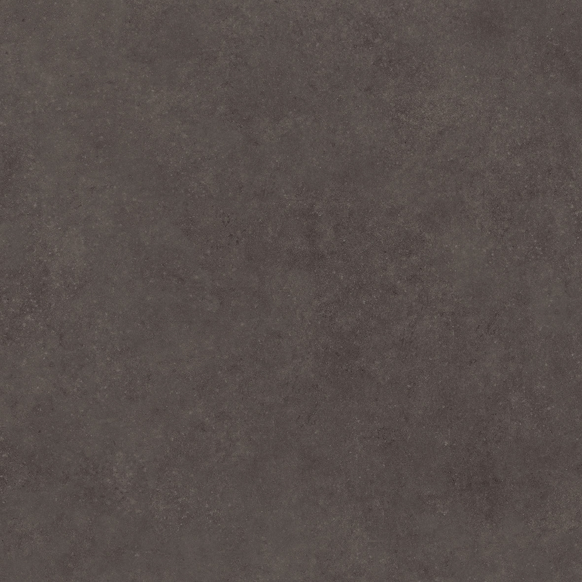 Anima - Alpine White