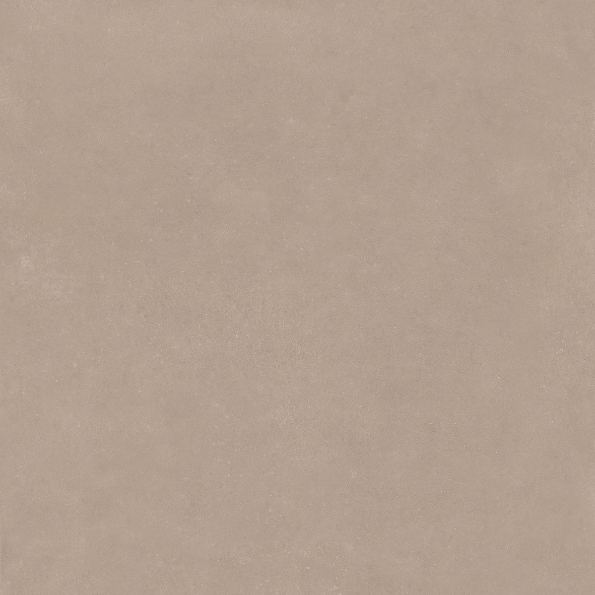Anima - Alpine White