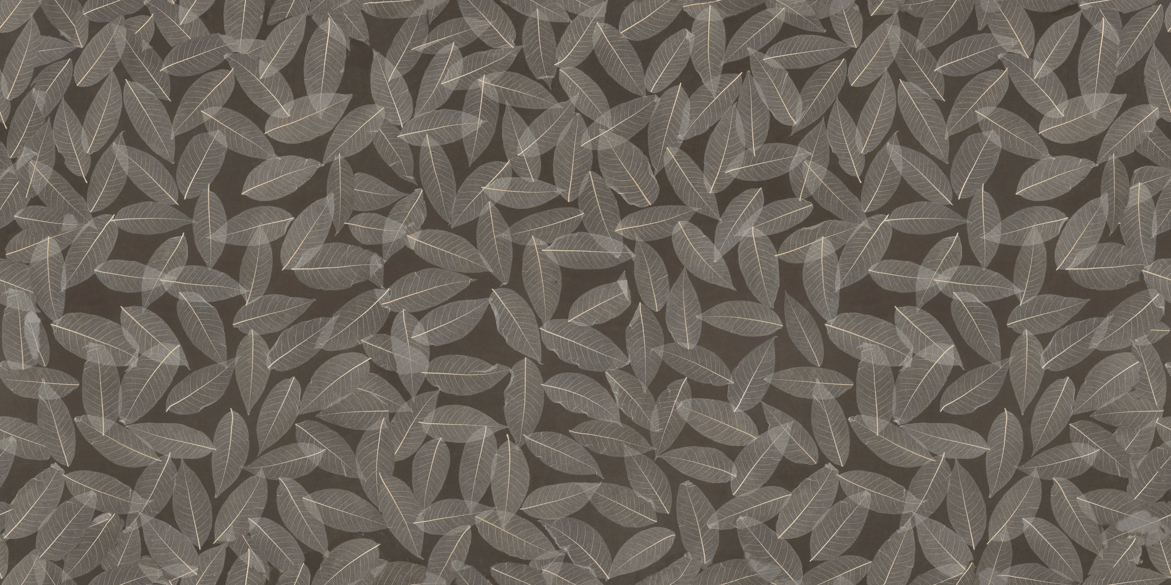 ORGANOID - SKELETON LEAVES MEDIUM