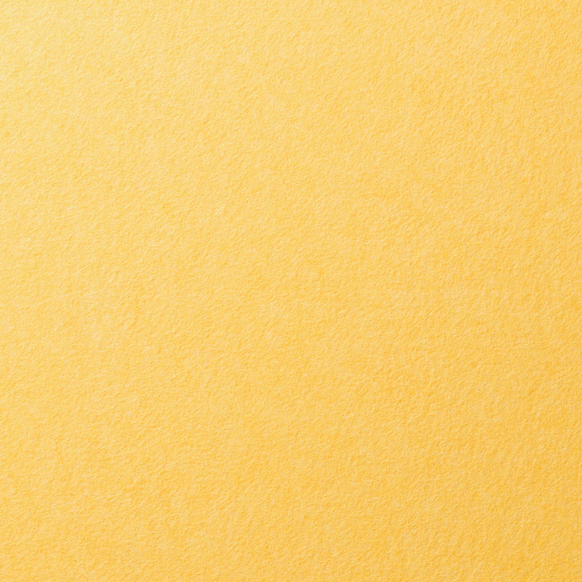 Acoustic Panels Club