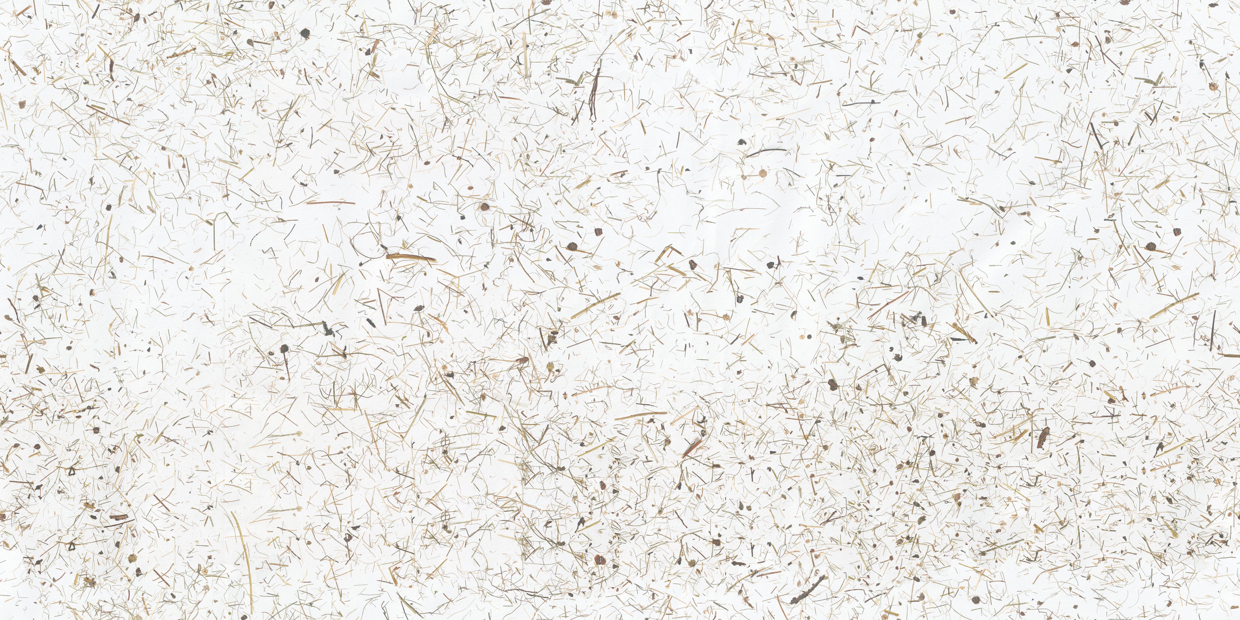 ORGANOID - WILDSPITZE LIGHT