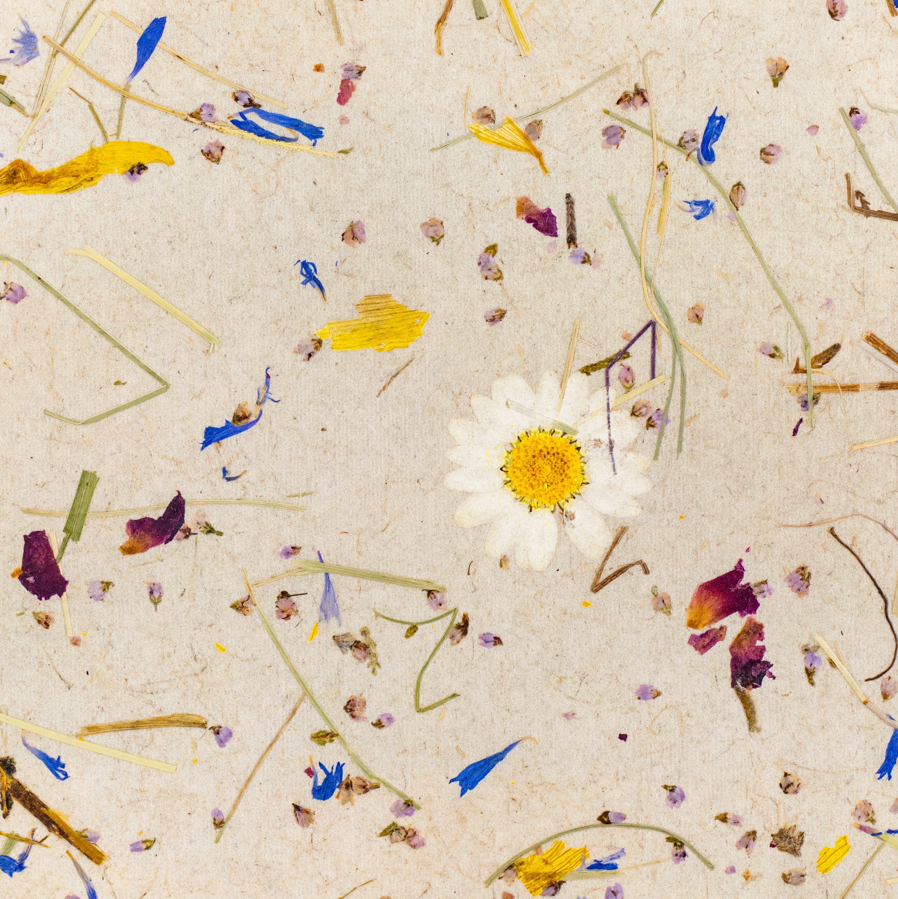 ORGANOID - ALMWIESE LIGHT