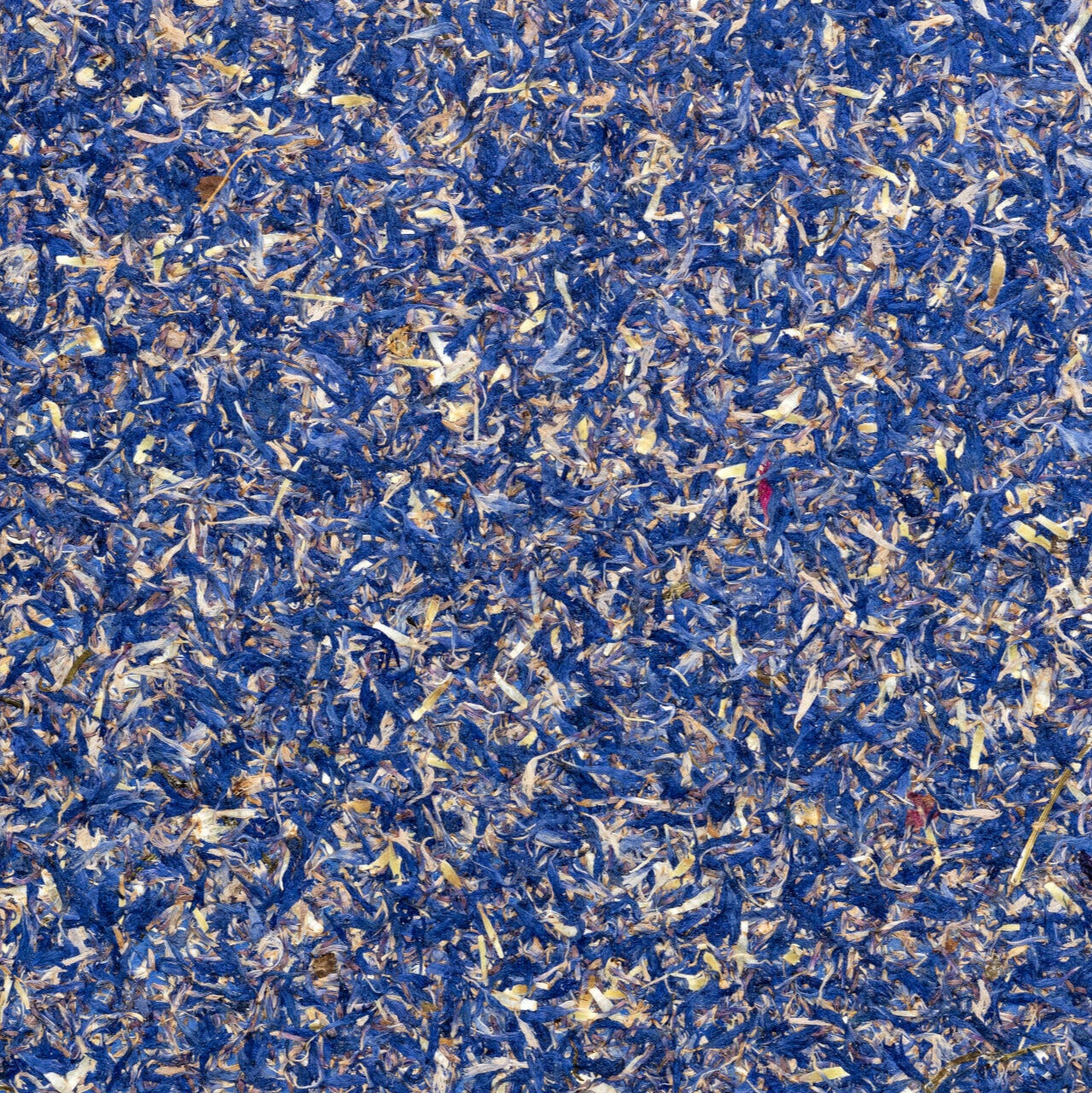 ORGANOID - CORNFLOWER BLUE