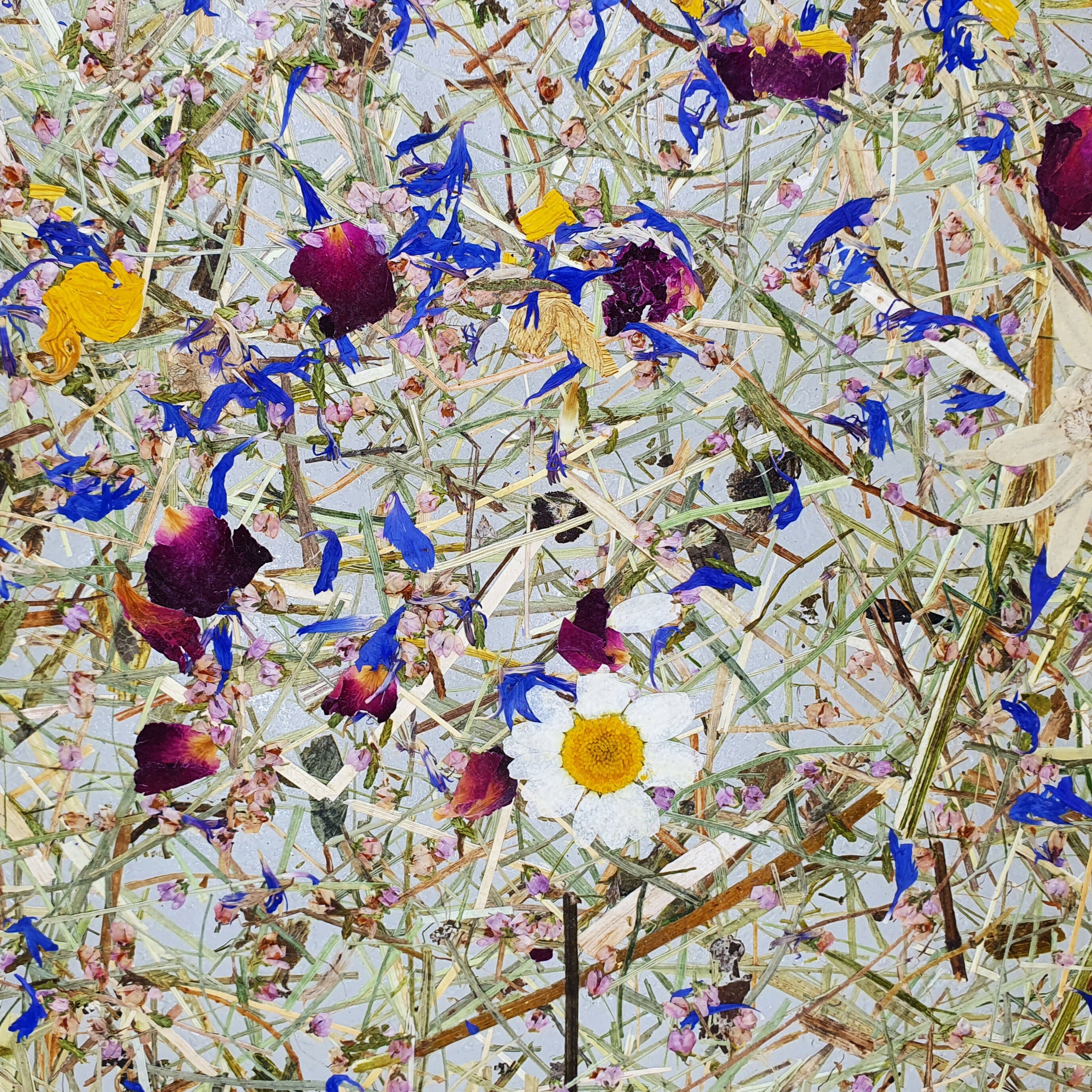 ORGANOID - BERGWIESE MEDIUM