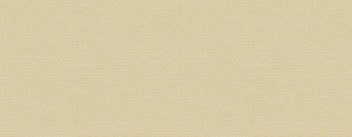 Tapiz Contractbv 2 - Interni México