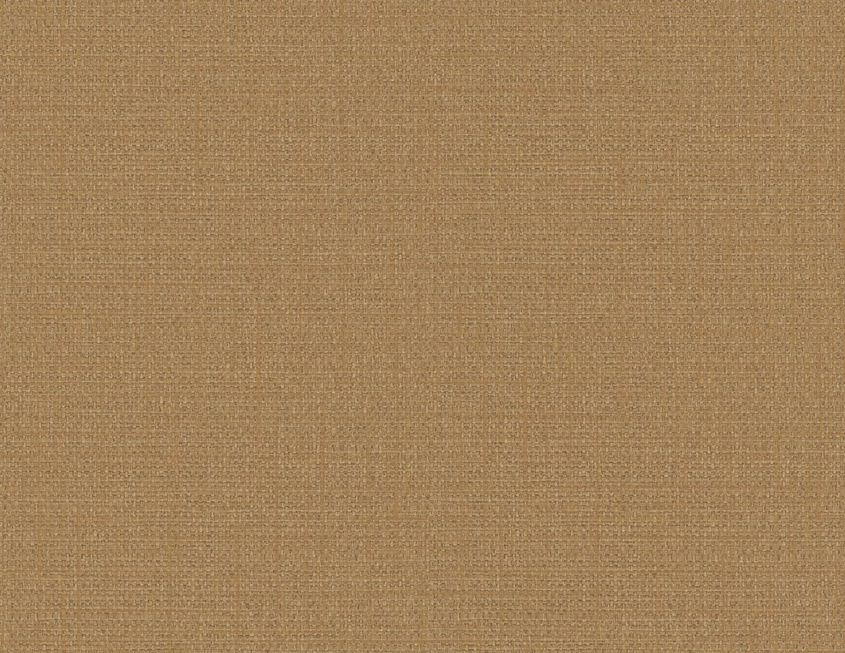 Tapiz ContractBV - Interni México