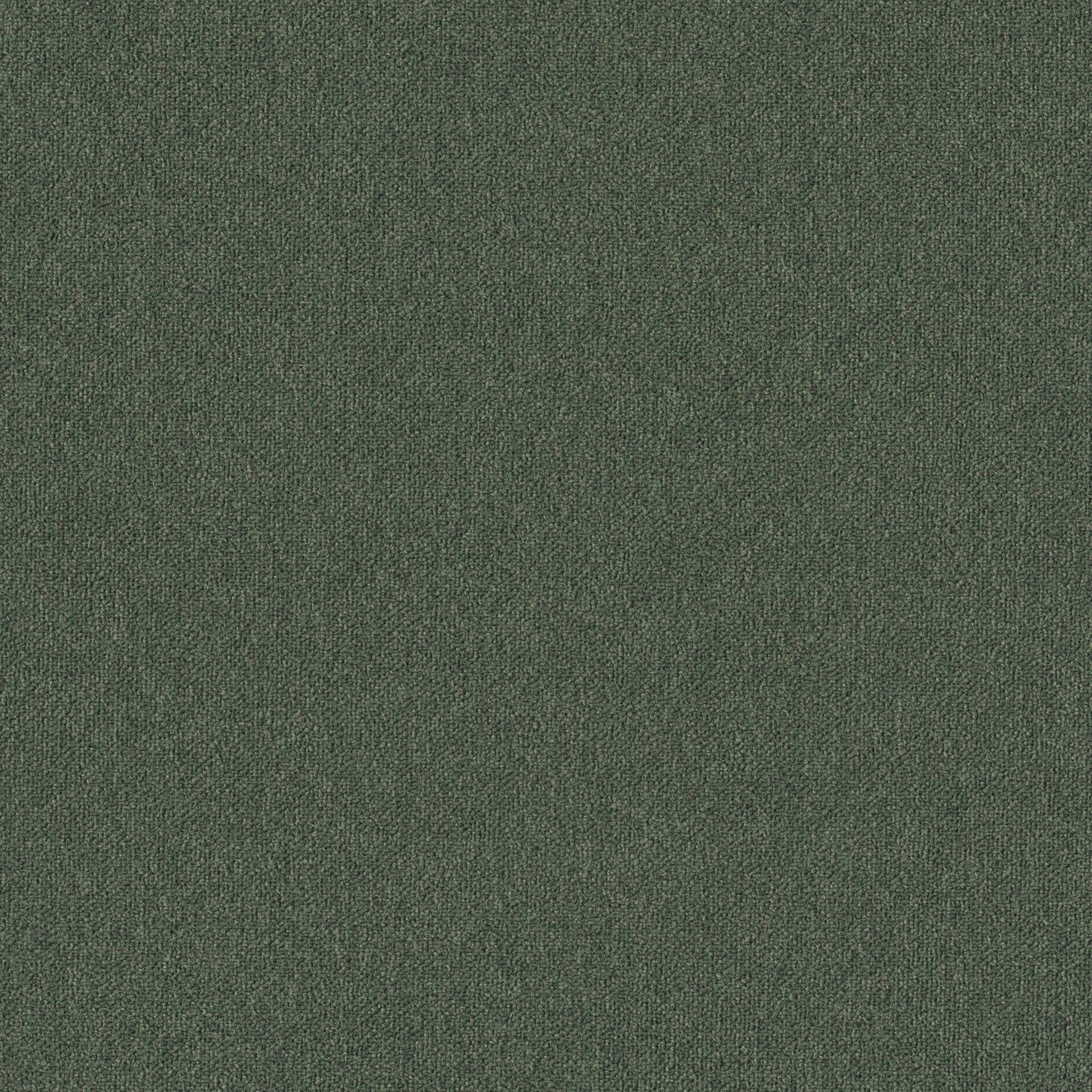 AlfombrasCreative Spark - Creative Spark BT426 - Interni México