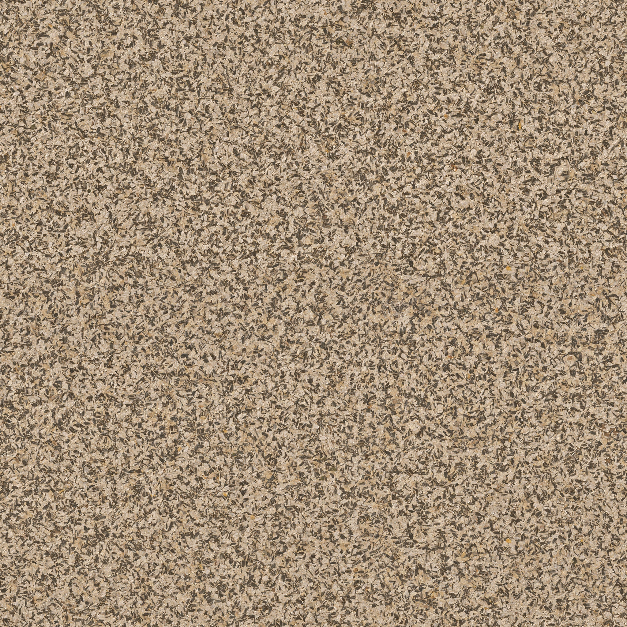 ORGANOID - SUNFLOWERS