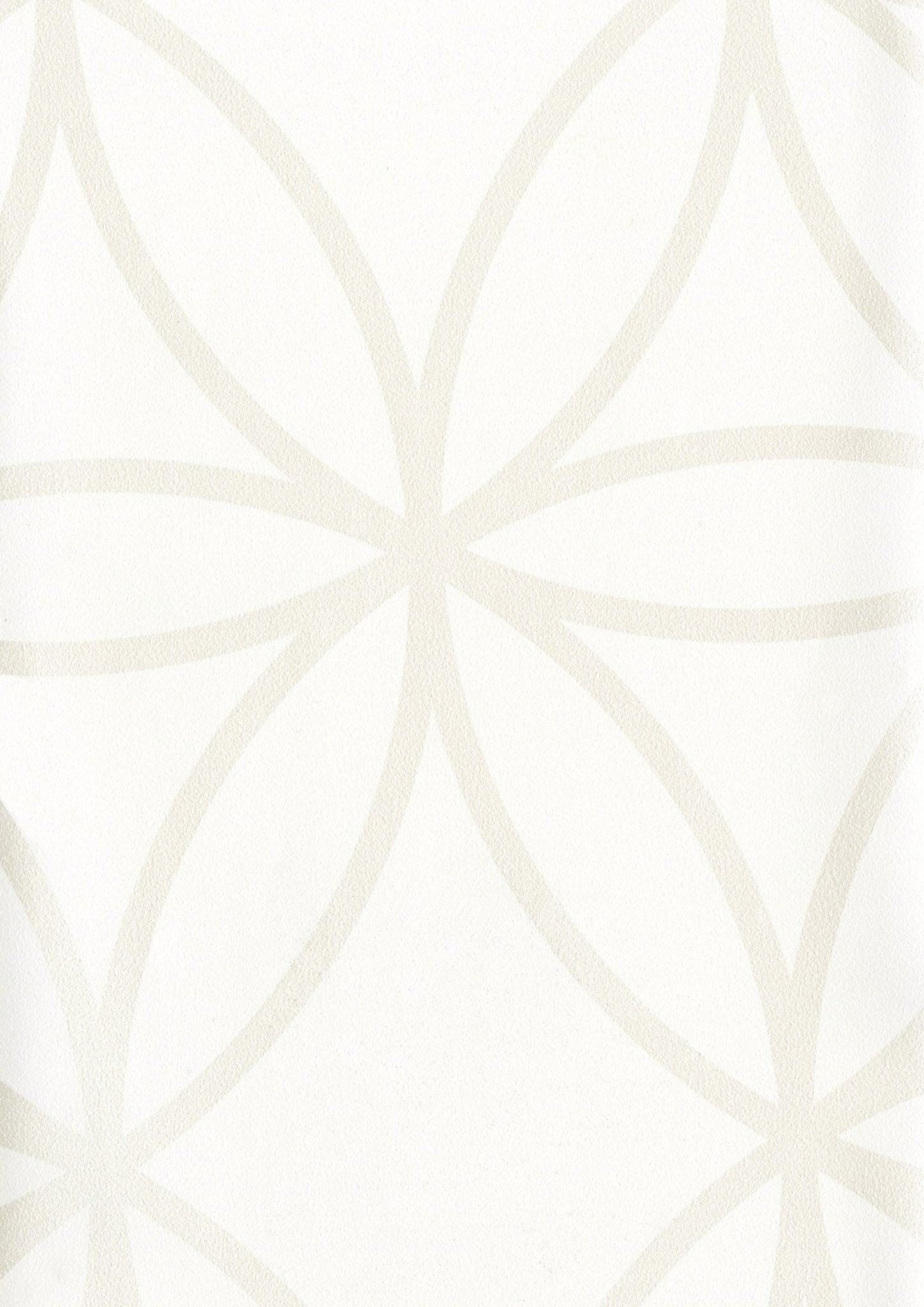 Tapiz ContractEllipse - Interni México