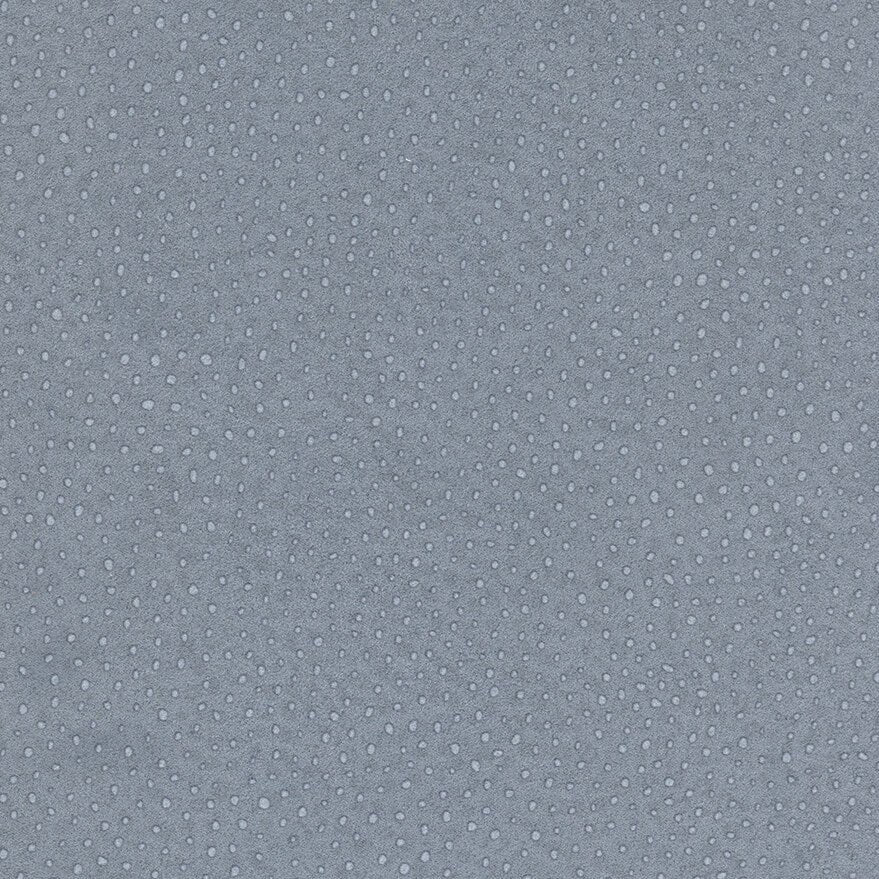 Tapiz ContractENTANGLEMENT - FUSION - Interni México