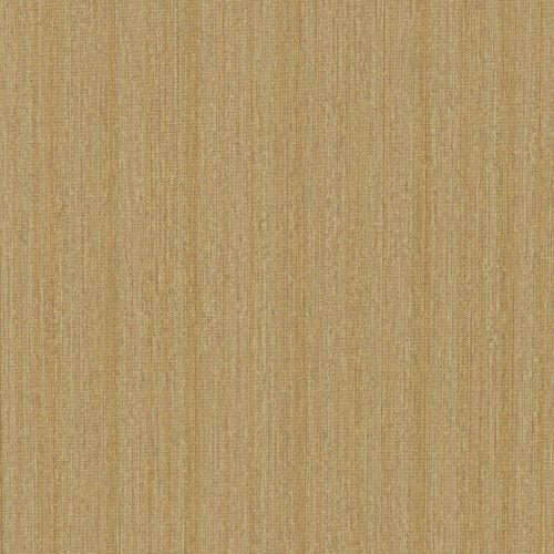 Tapiz ContractHealthcare - Interni México