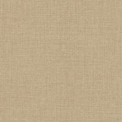 Tapiz ContractHealthcare - Interni México