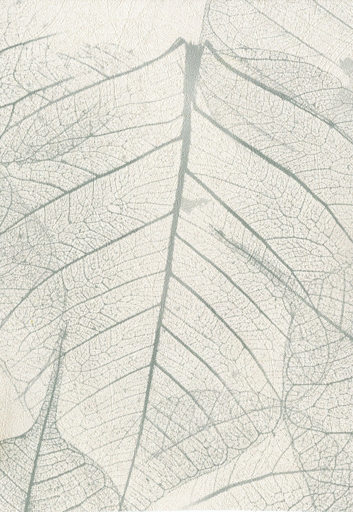 Tapiz ContractLeaves - Interni México