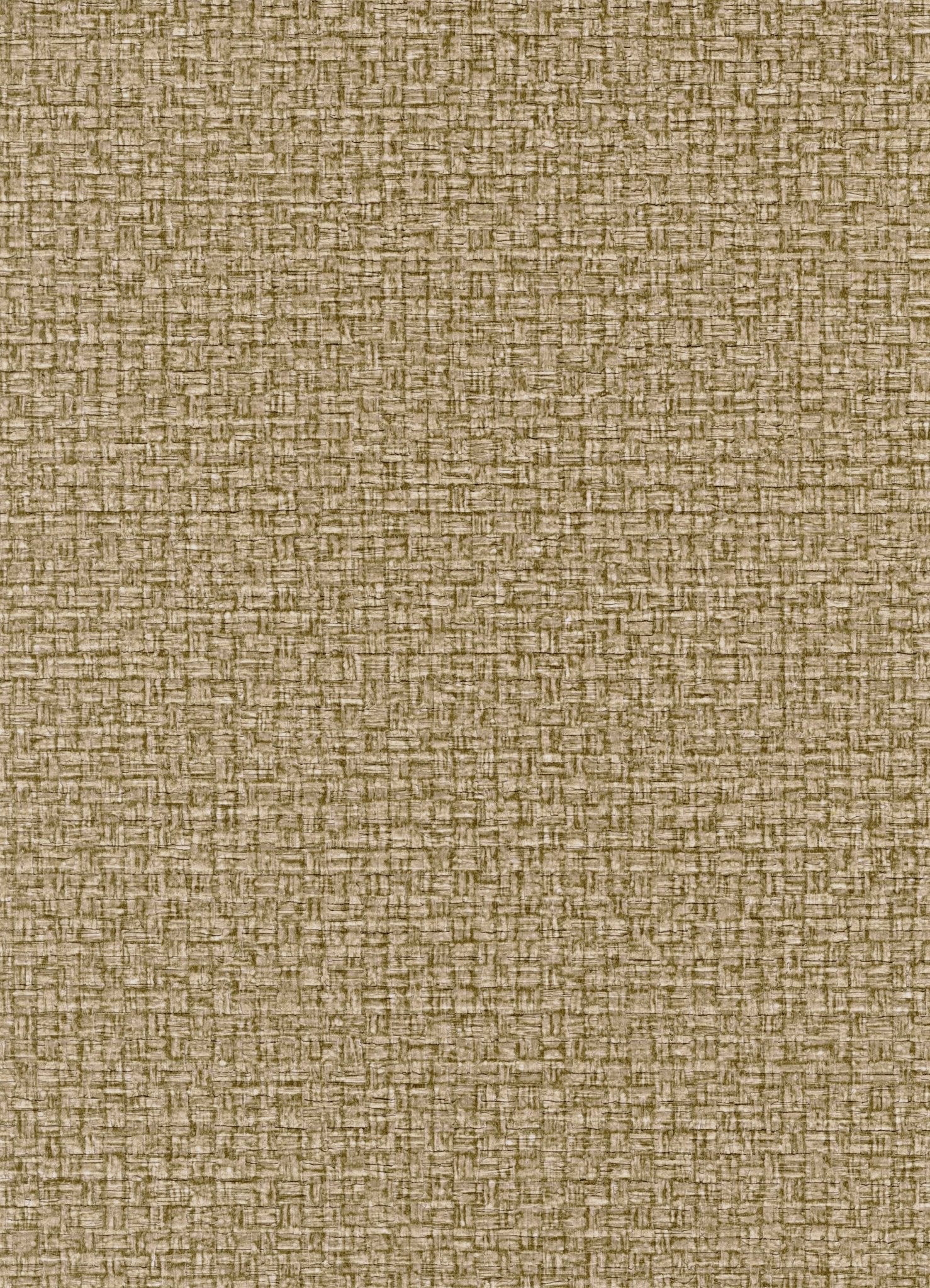 Tapiz ContractRaffia - Interni México