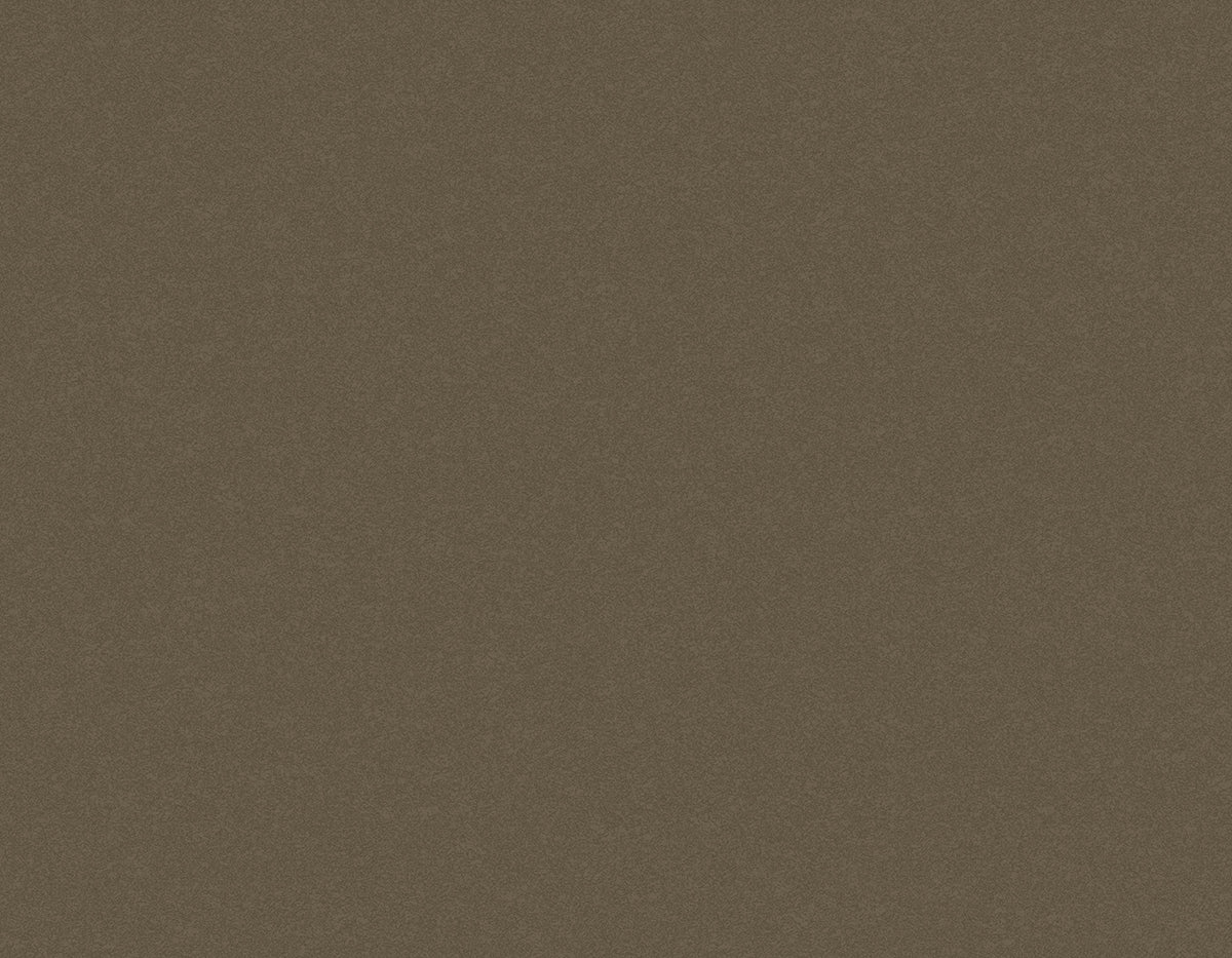 Tapiz ContractSandstone - Interni México