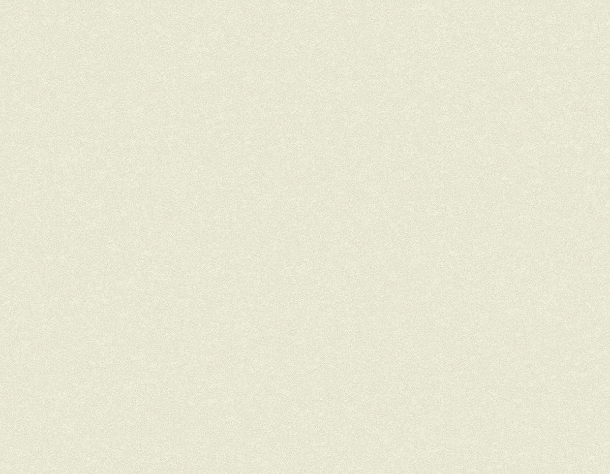 Tapiz ContractSandstone - Interni México