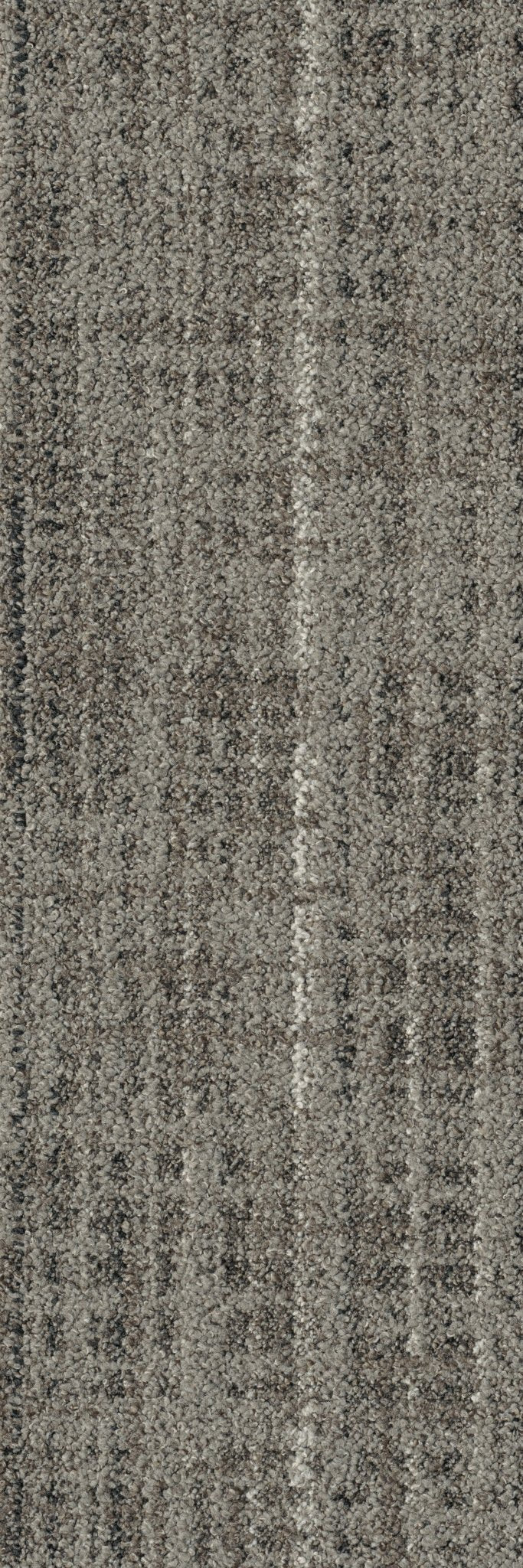 AlfombrasWild Horizons - Wild Horizons GT366 - Interni México